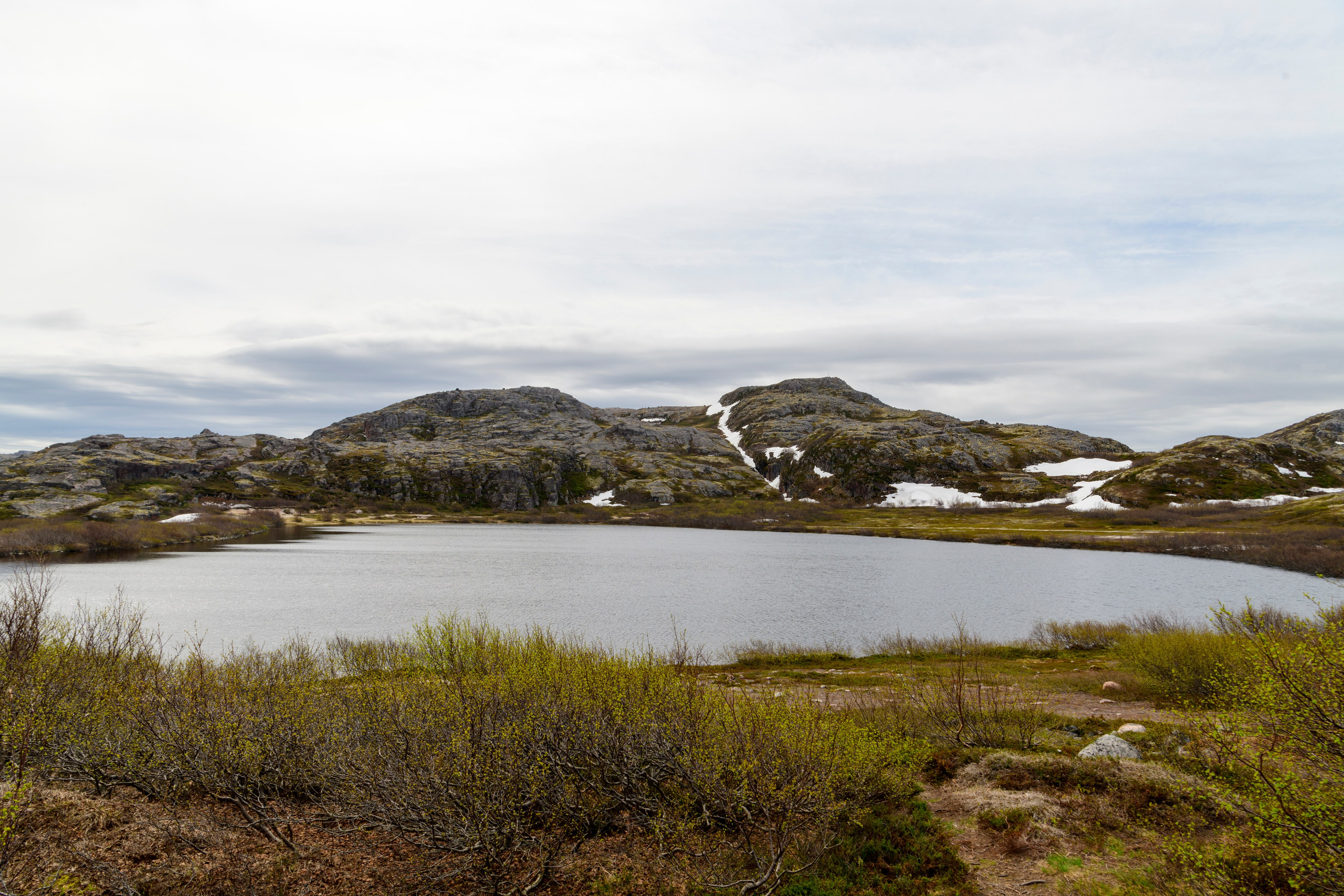 Мурманская область. Июнь 2024. Фотограф Сергей Пупонин