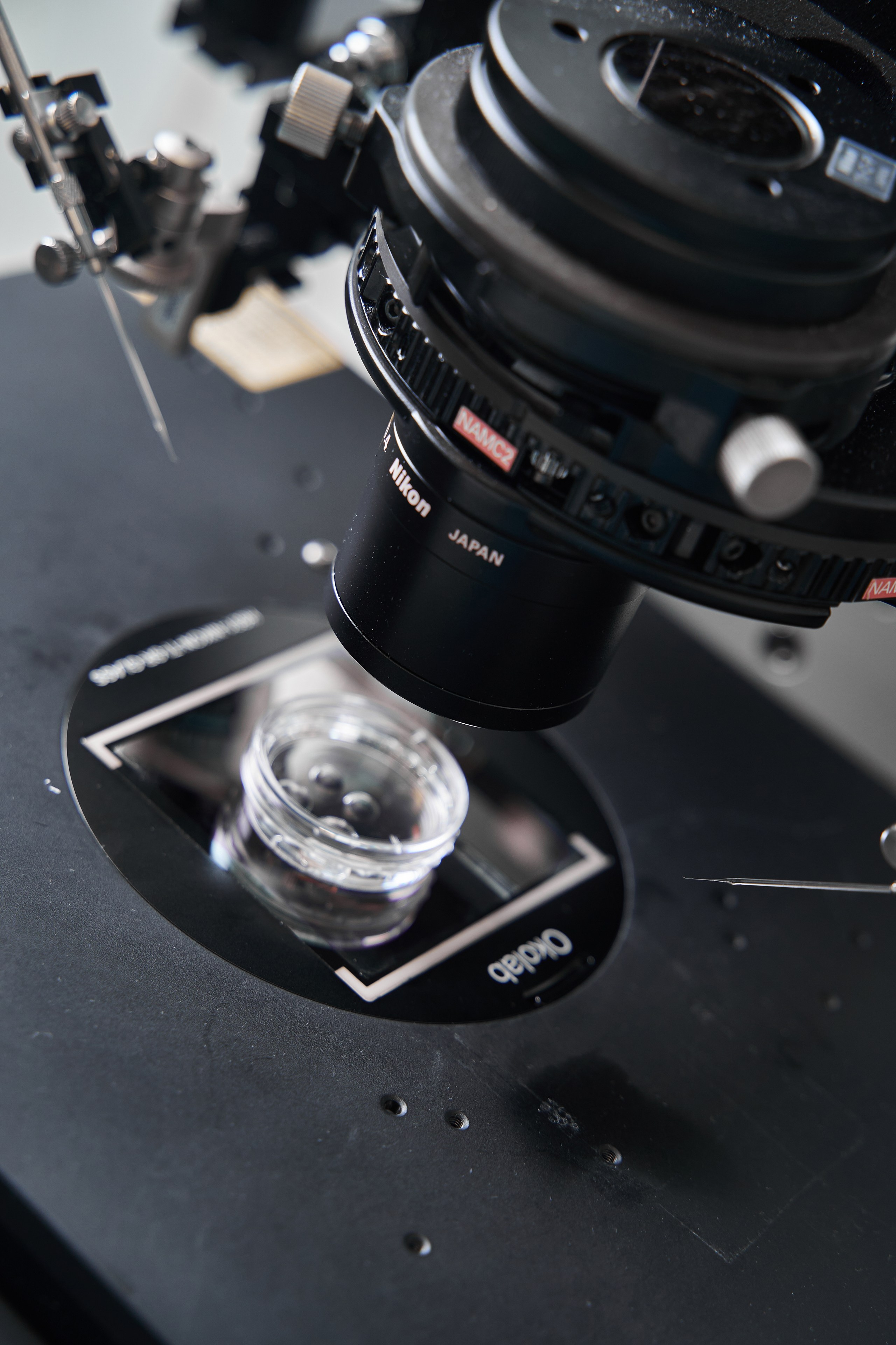 Корпоративная съемка сотрудников клиники ЭКО. Главная