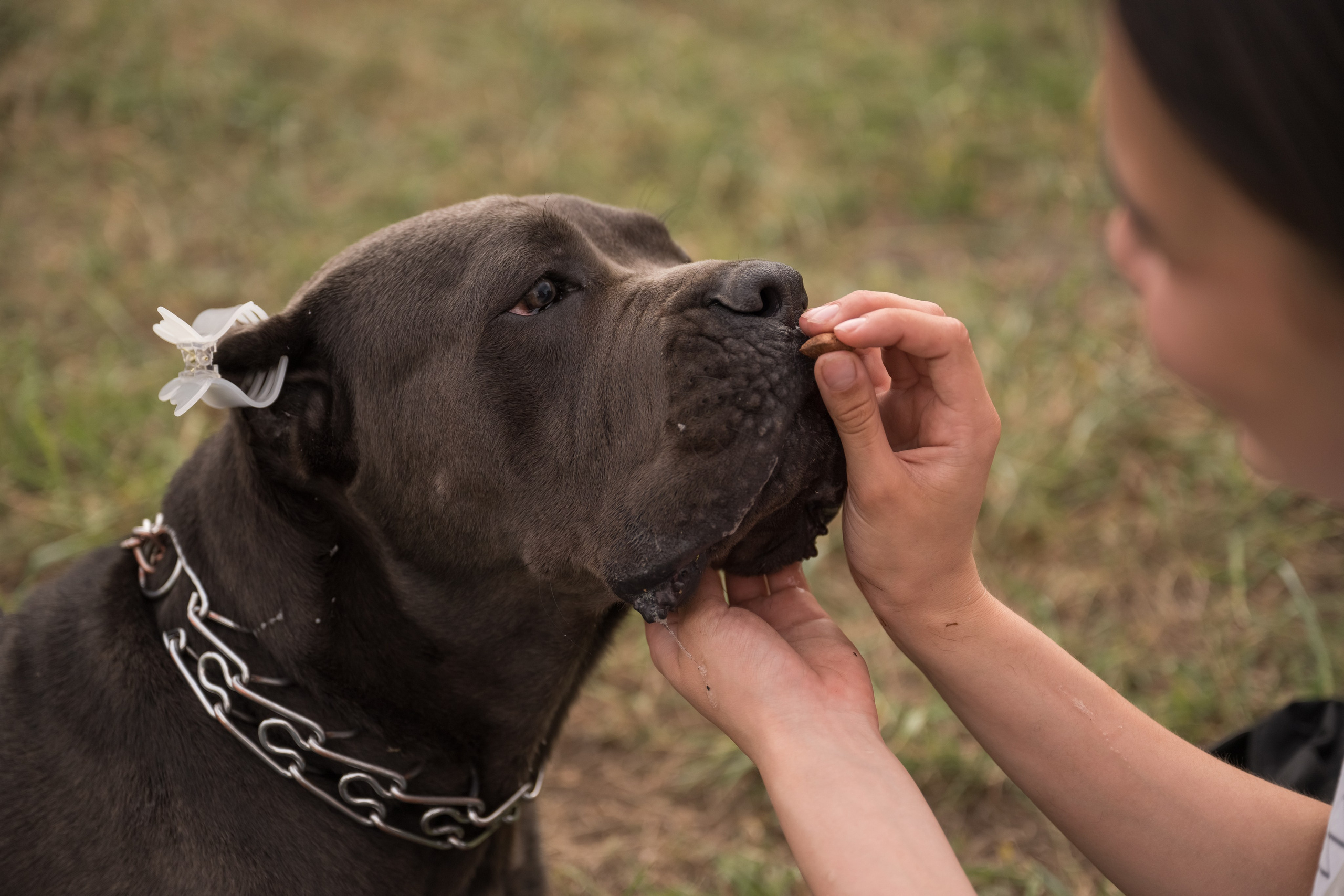 Дина, Яна и Лео. Фотограф Саратов Юлия Петрова