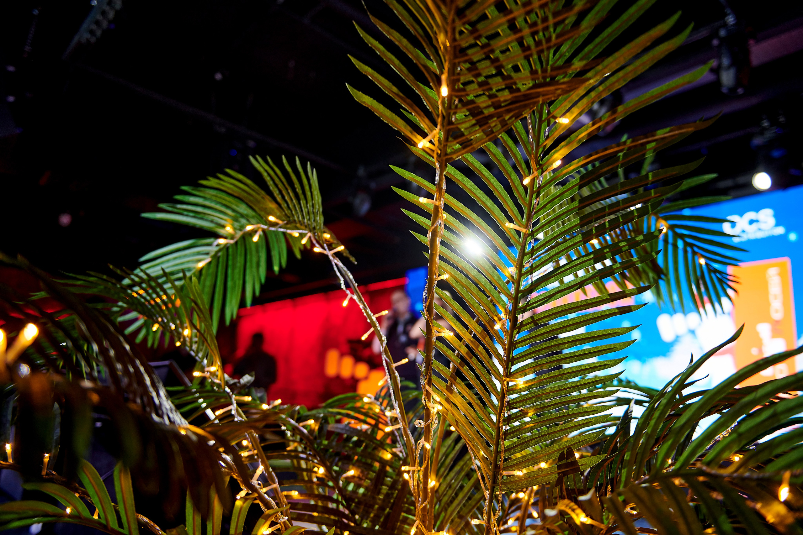 OCS Новогодний огонёк. Фотограф Постольник Дарья