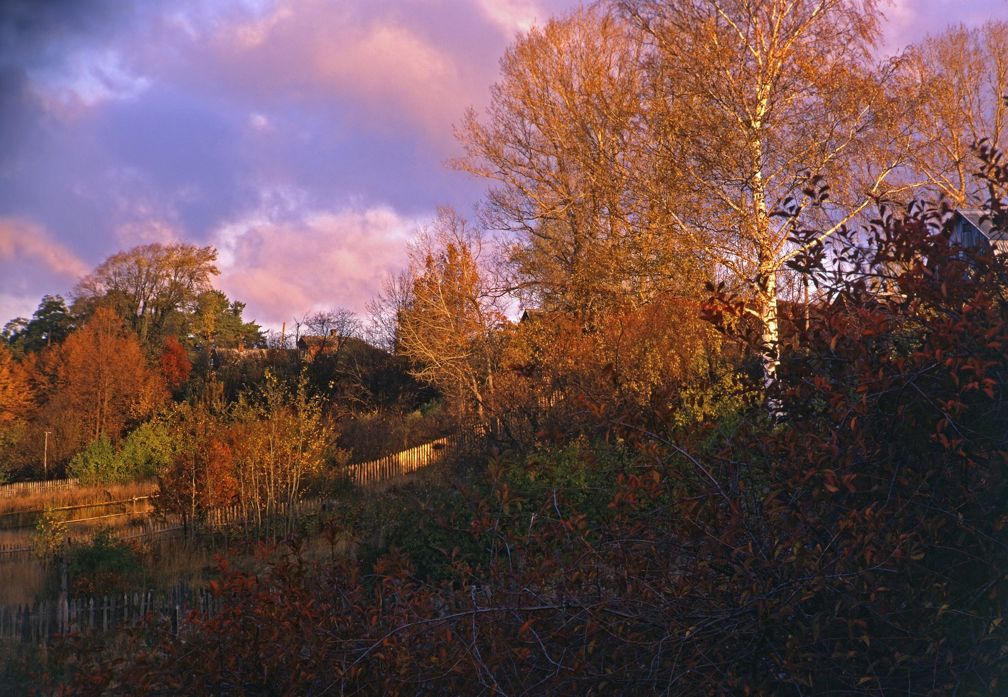 Осень. ВАДИМ ГИППЕНРЕЙТЕР — ВЕЛИКИЙ ФОТОГРАФ ЗЕМЛИ РУССКОЙ