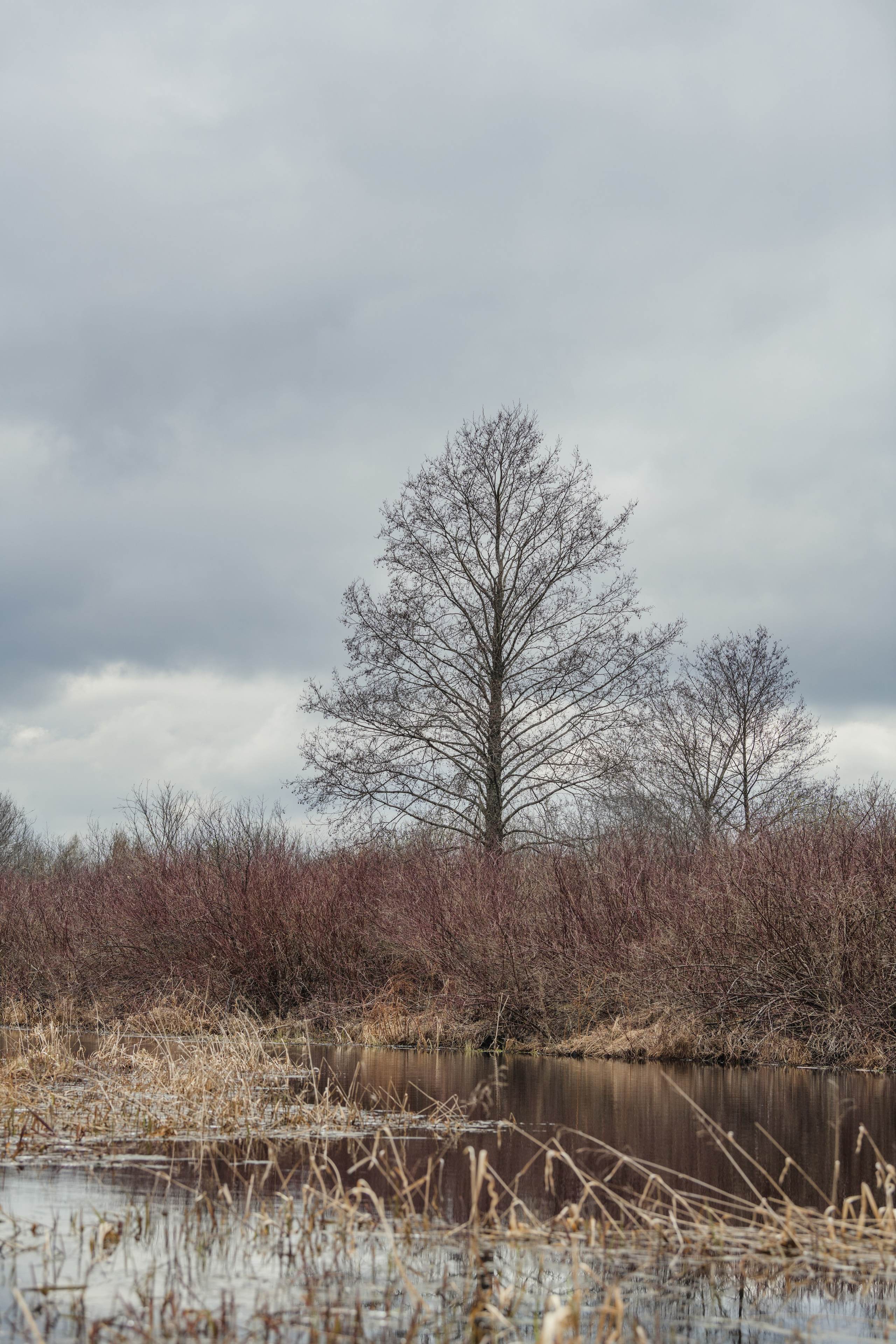 Разведка нового маршрута. Репортажный фотограф Владимир Беляй