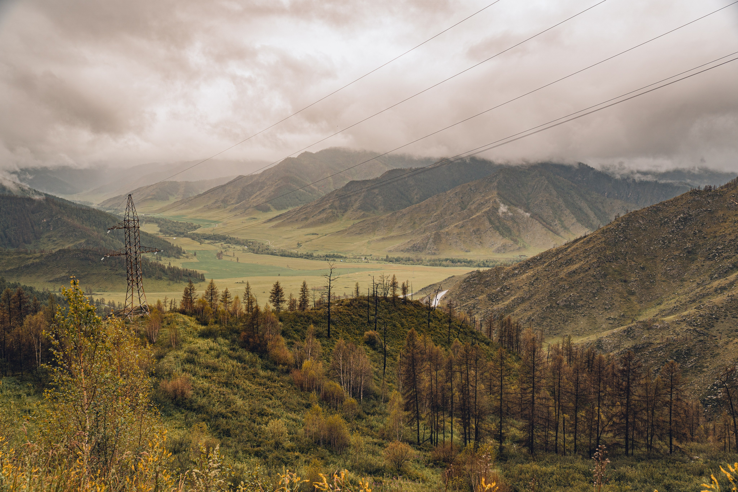 Алтай. Gusarov Travel Photography