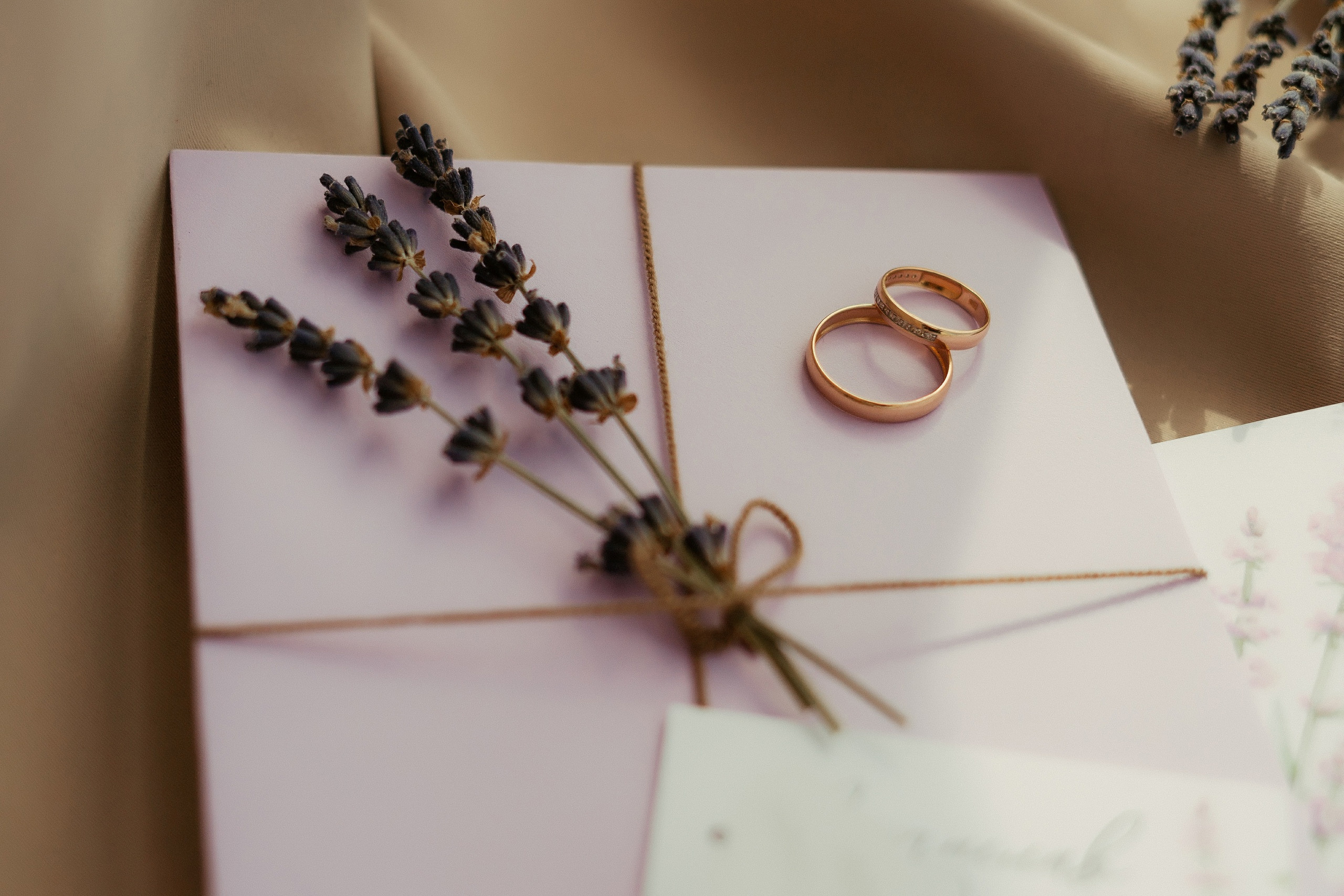 Прогулка в Царицыно. Фотограф Никита Анкудинов. Москва — Чебоксары — Казань