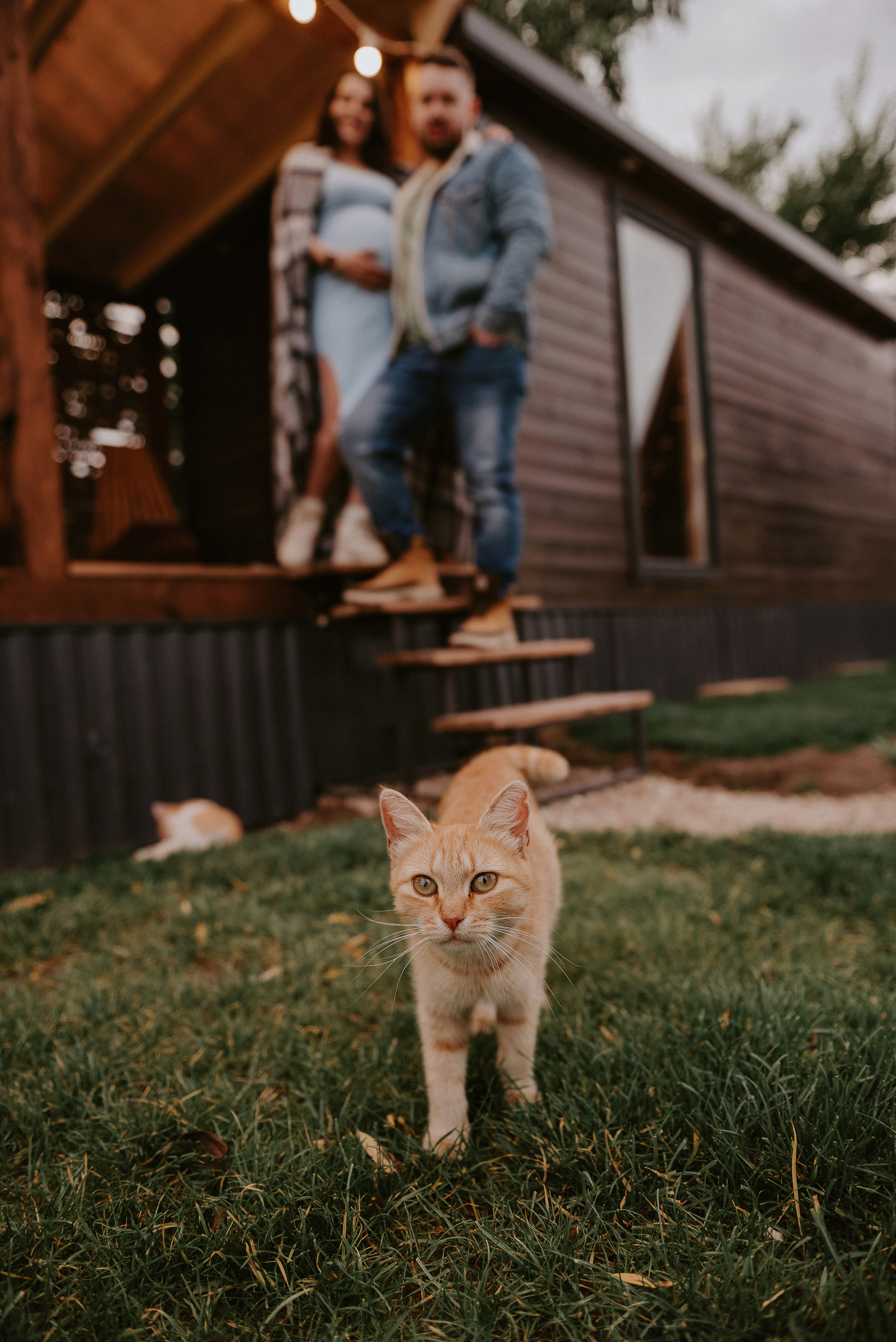 Катя и Саша. Студия фото-видеографии Тушницких. Тольятти. Самара