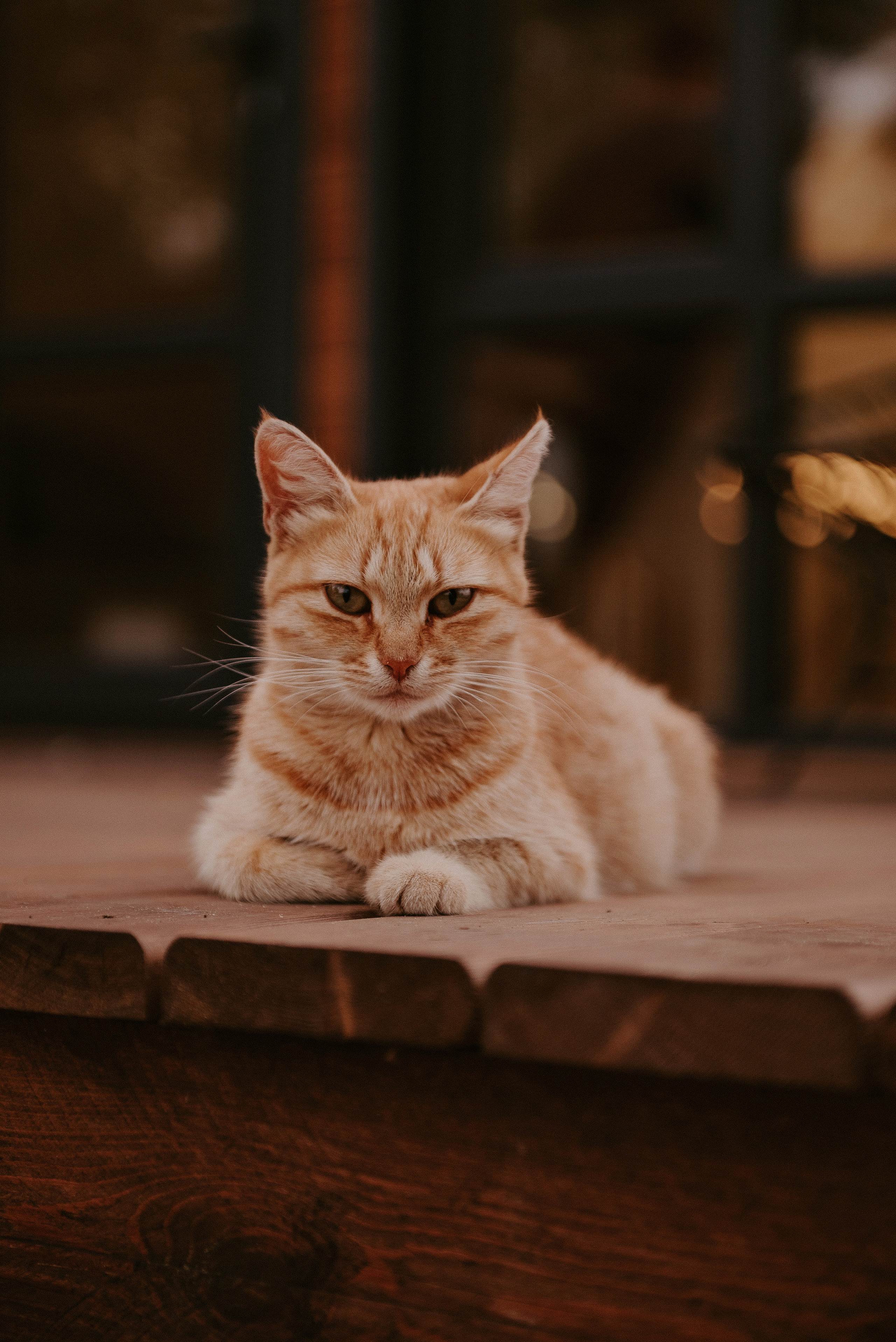 Катя и Саша. Студия фото-видеографии Тушницких. Тольятти. Самара