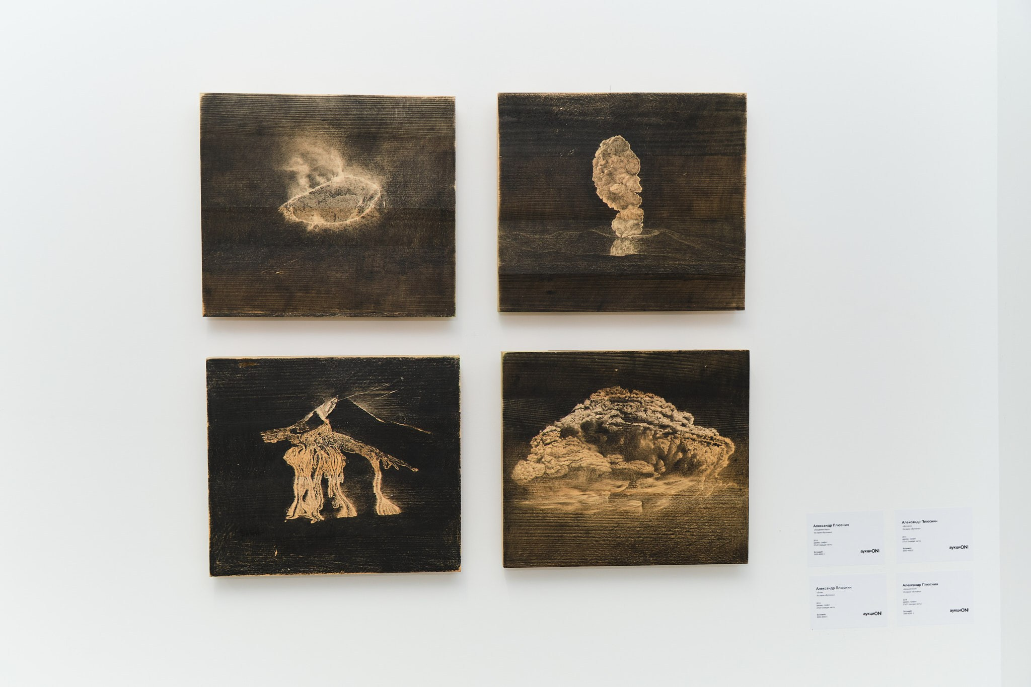 АукциON.ART. Организация фото/видео съемки, Москва