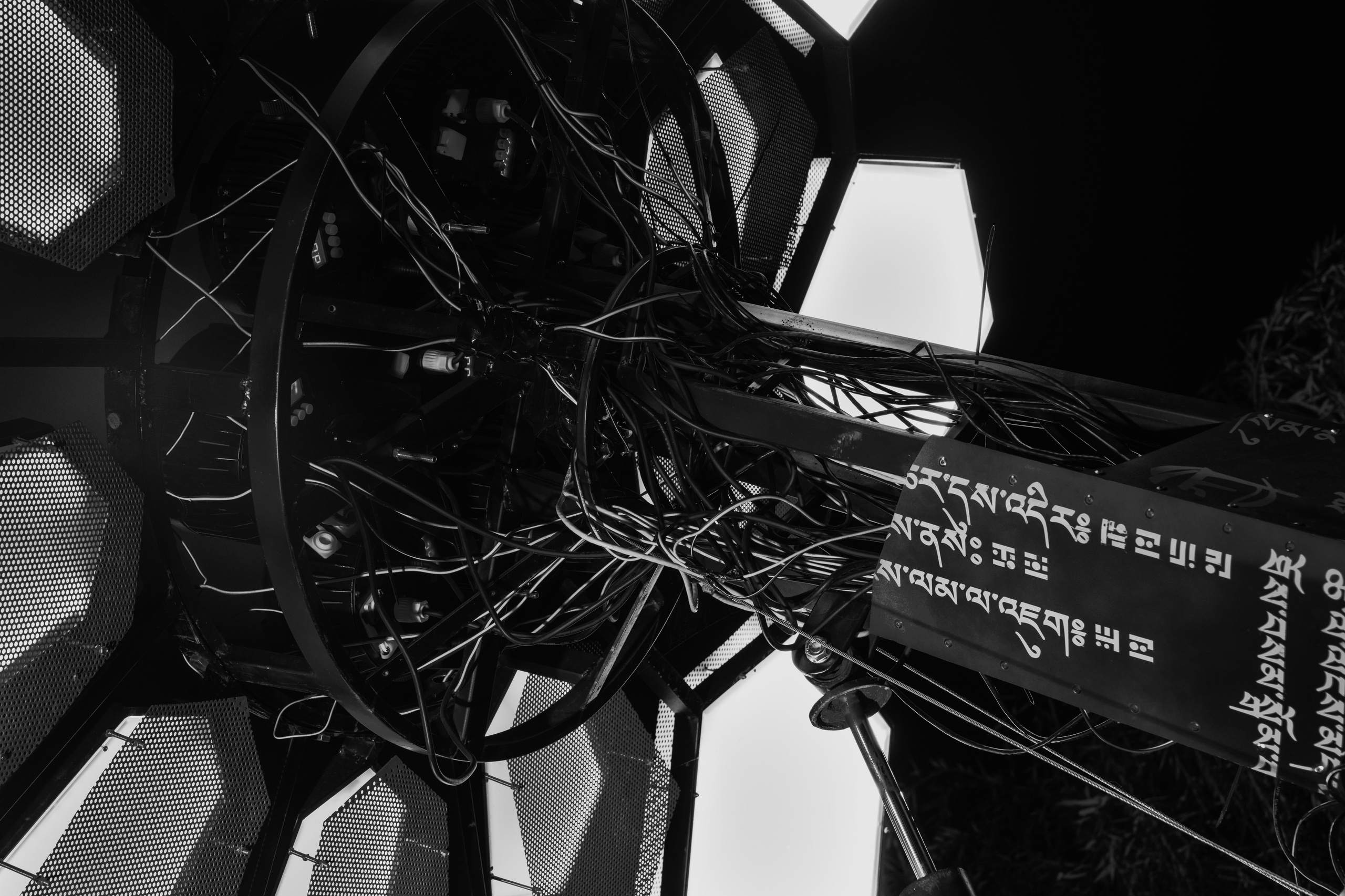 PANTERRA, Cyber Flower. @tomrus: Рустам Шагиморданов — фотограф