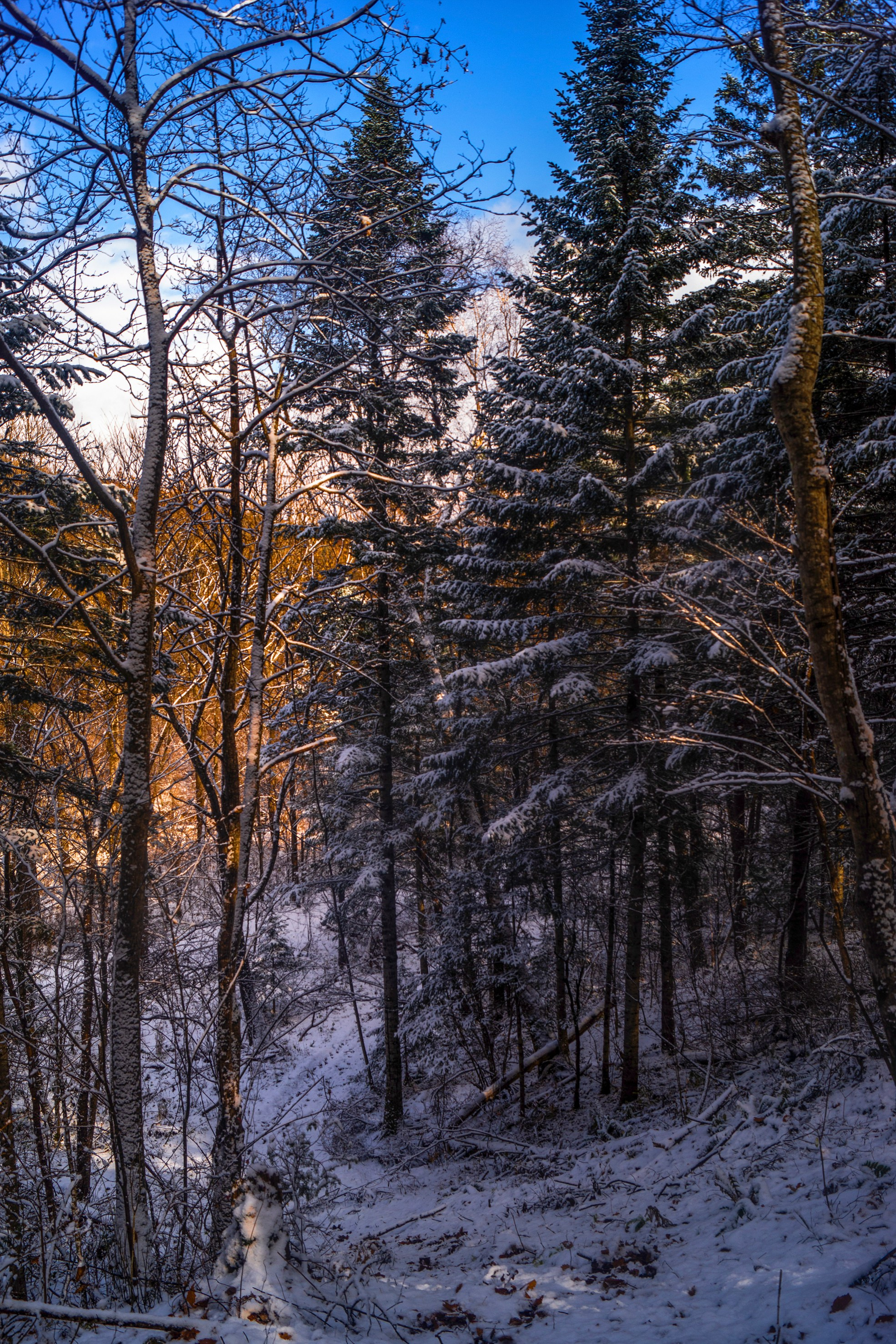 Природа Хабаровского края. Команда фотографов Кристины Ивановой