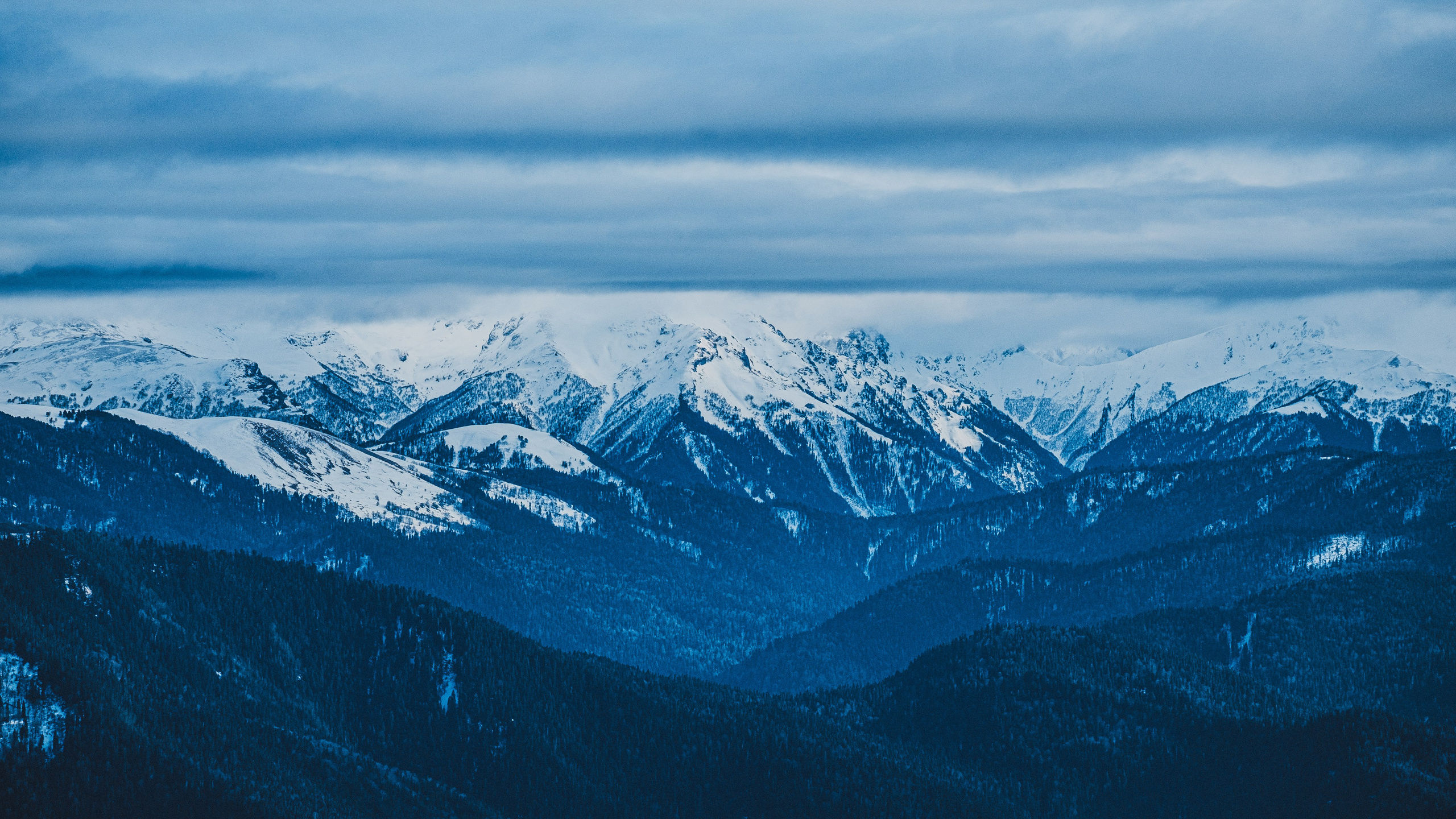 Other. Фотограф Абакан|Фрейман Никита