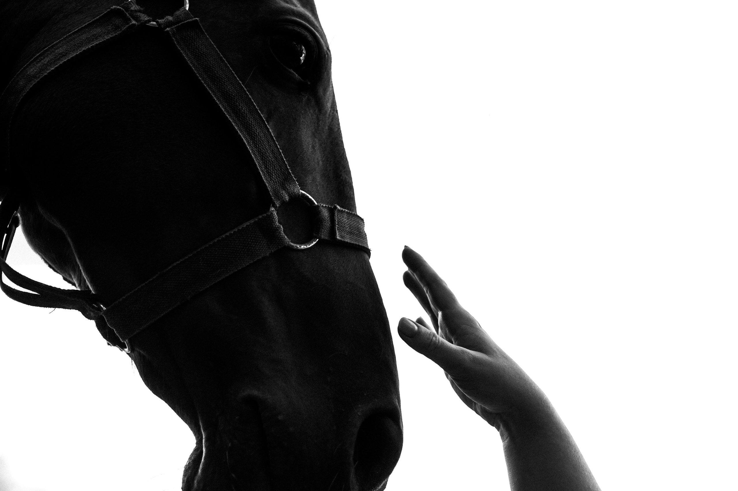 Аня🤍. Лайфстайл фотограф в Москве Серебрянская Фаина