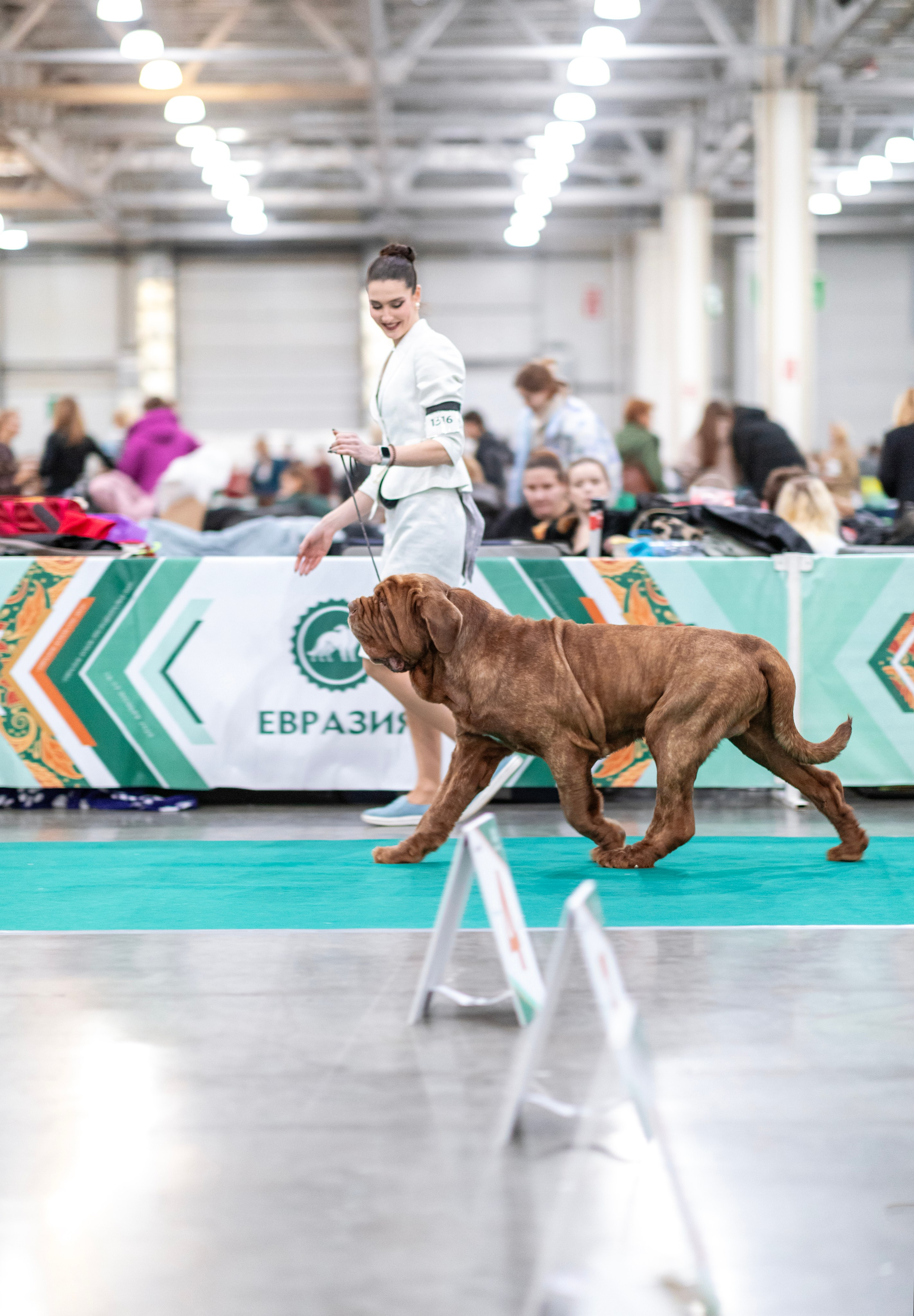 Евразия. Фотограф — анималист Татьяна Ли