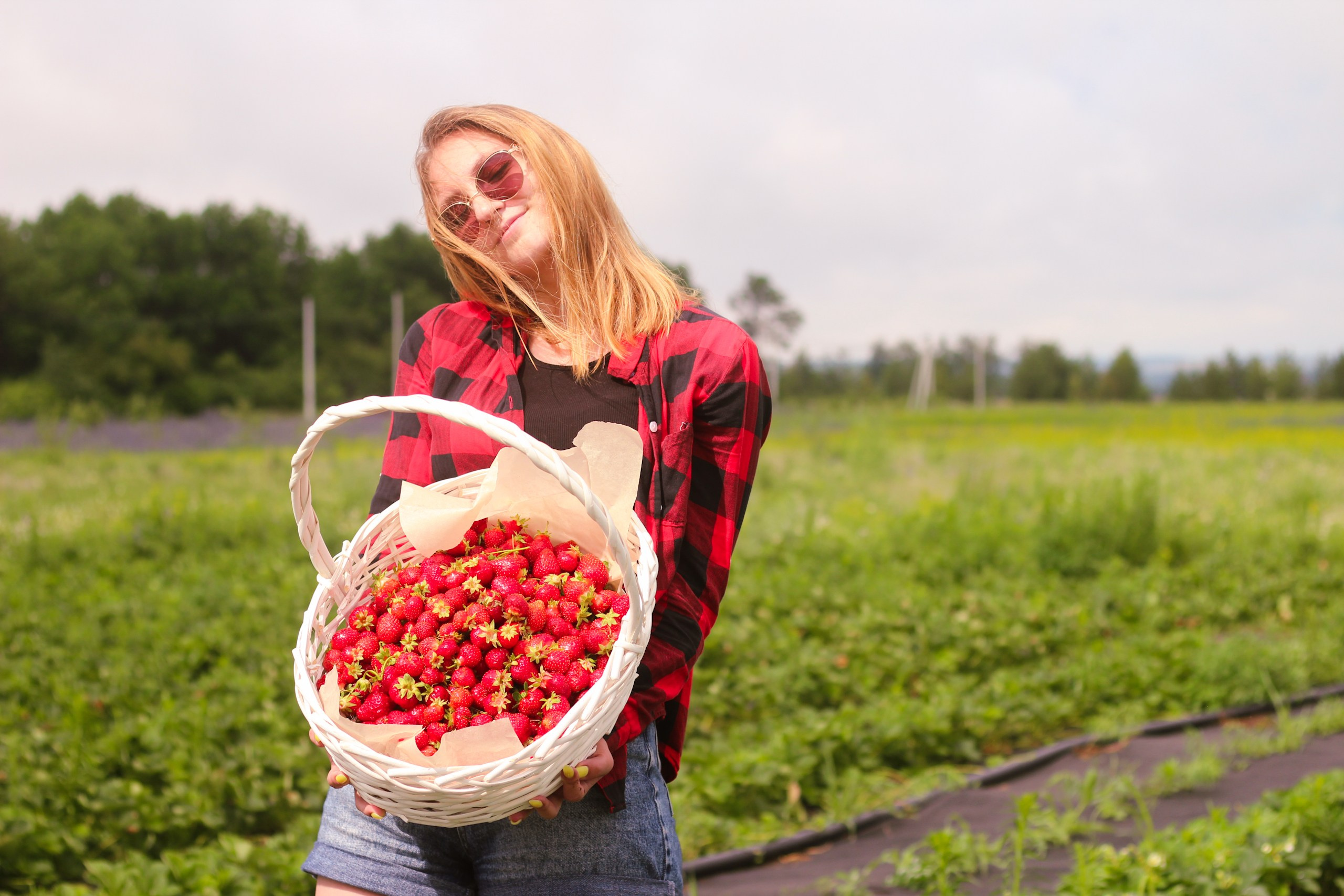 Клубничная ферма. Виктория Федотова | Фотограф и визуал-специалист в Самаре