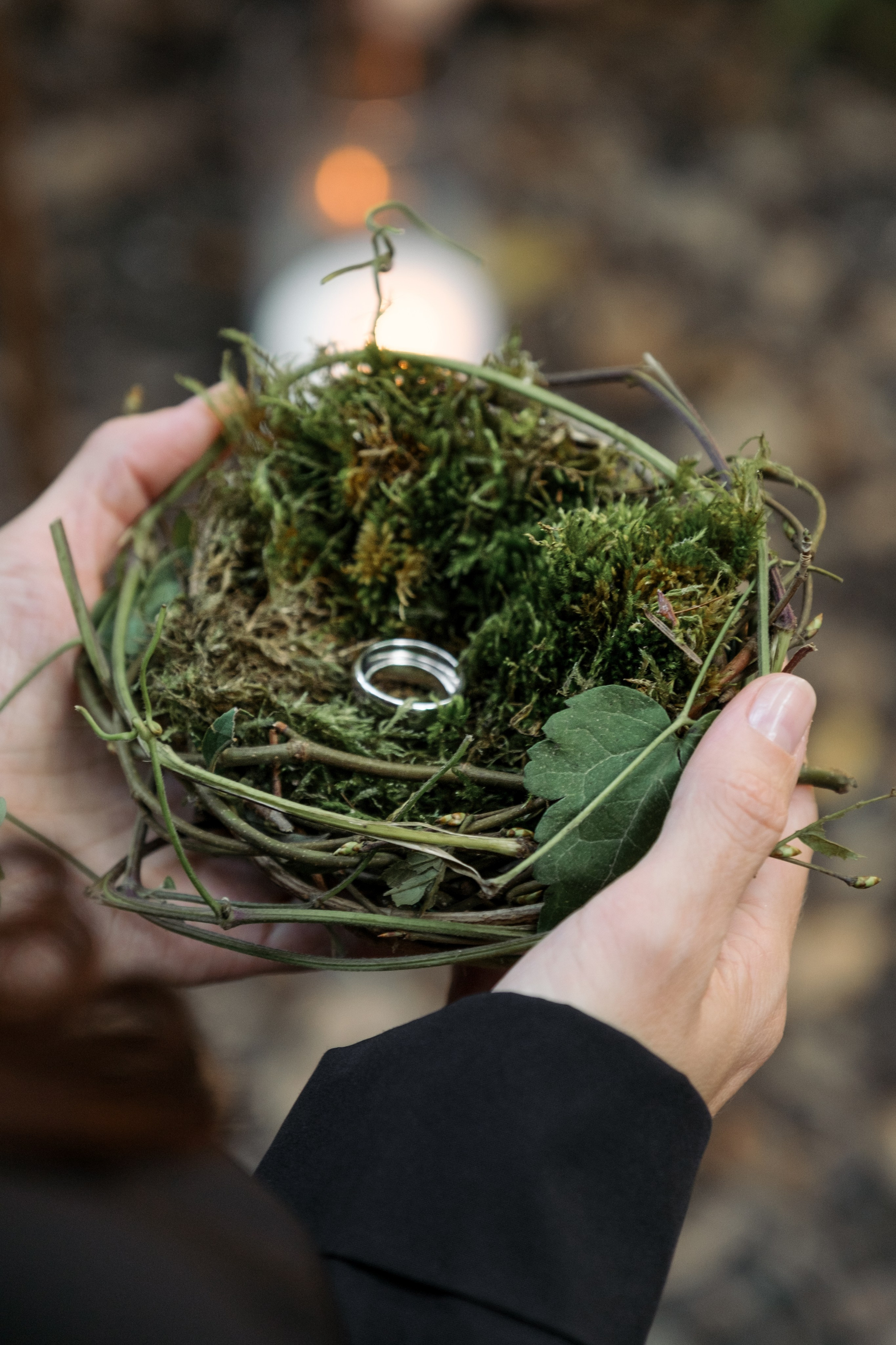 Кот и Дракон. Свадебный Видеограф Фотограф в Сочи