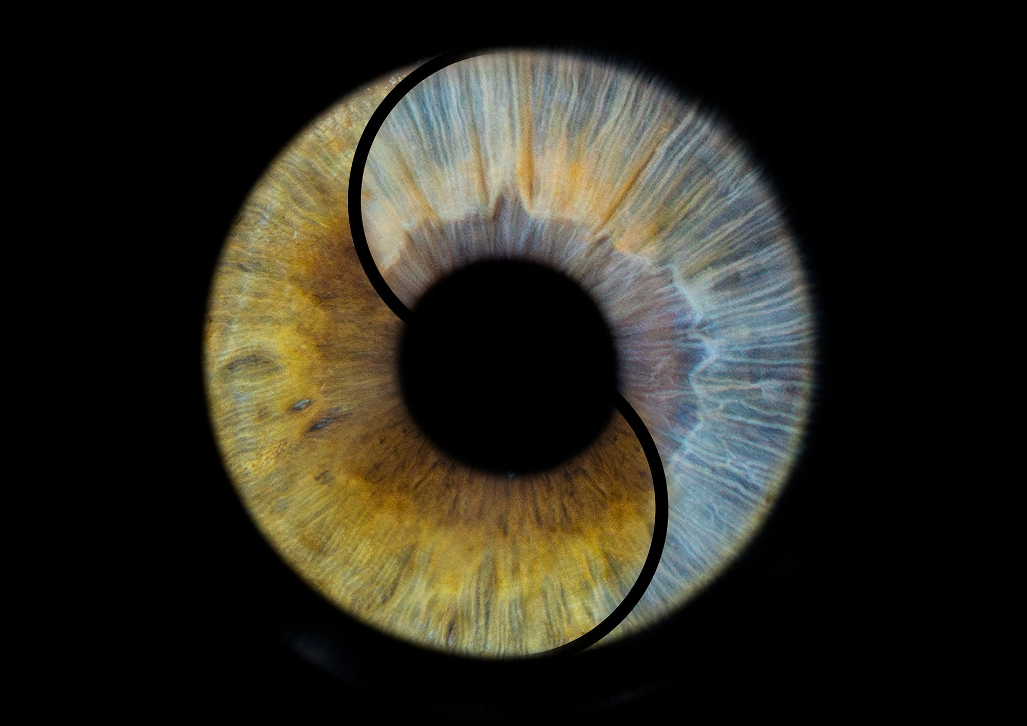 Примеры фото. Фото радужки глаза LOOK IN