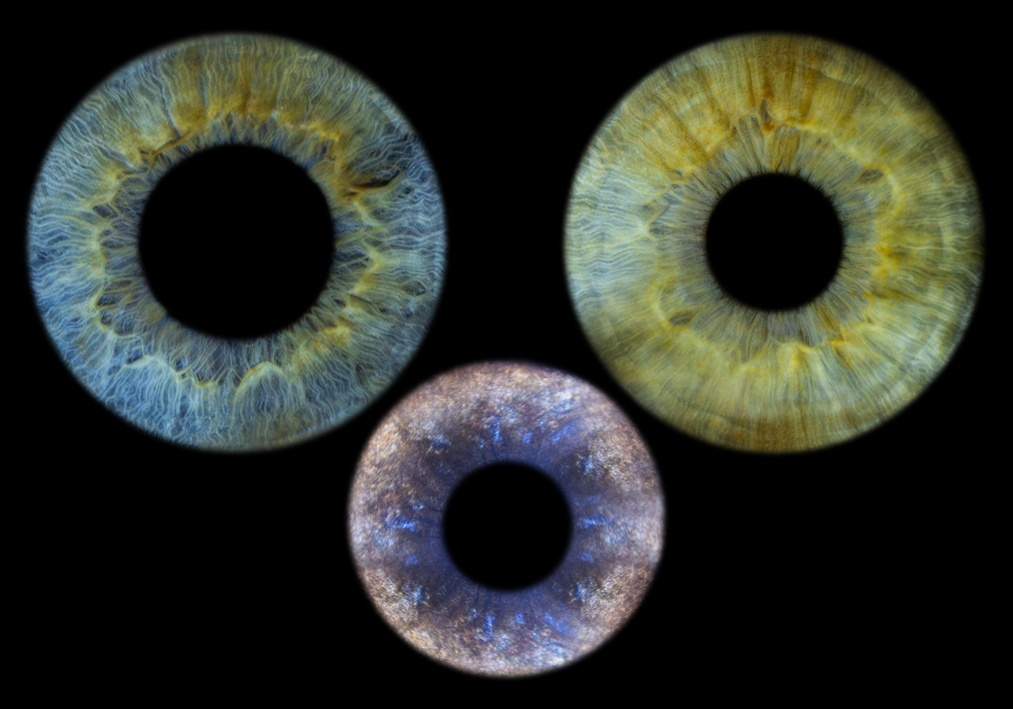 Примеры фото. Фото радужки глаза LOOK IN