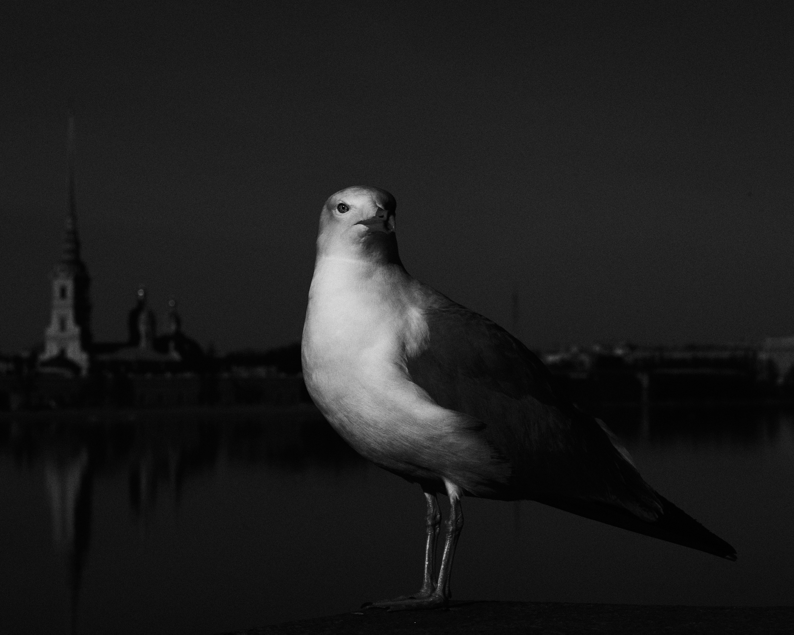 Фото | прочее. Александр ф | портфолио