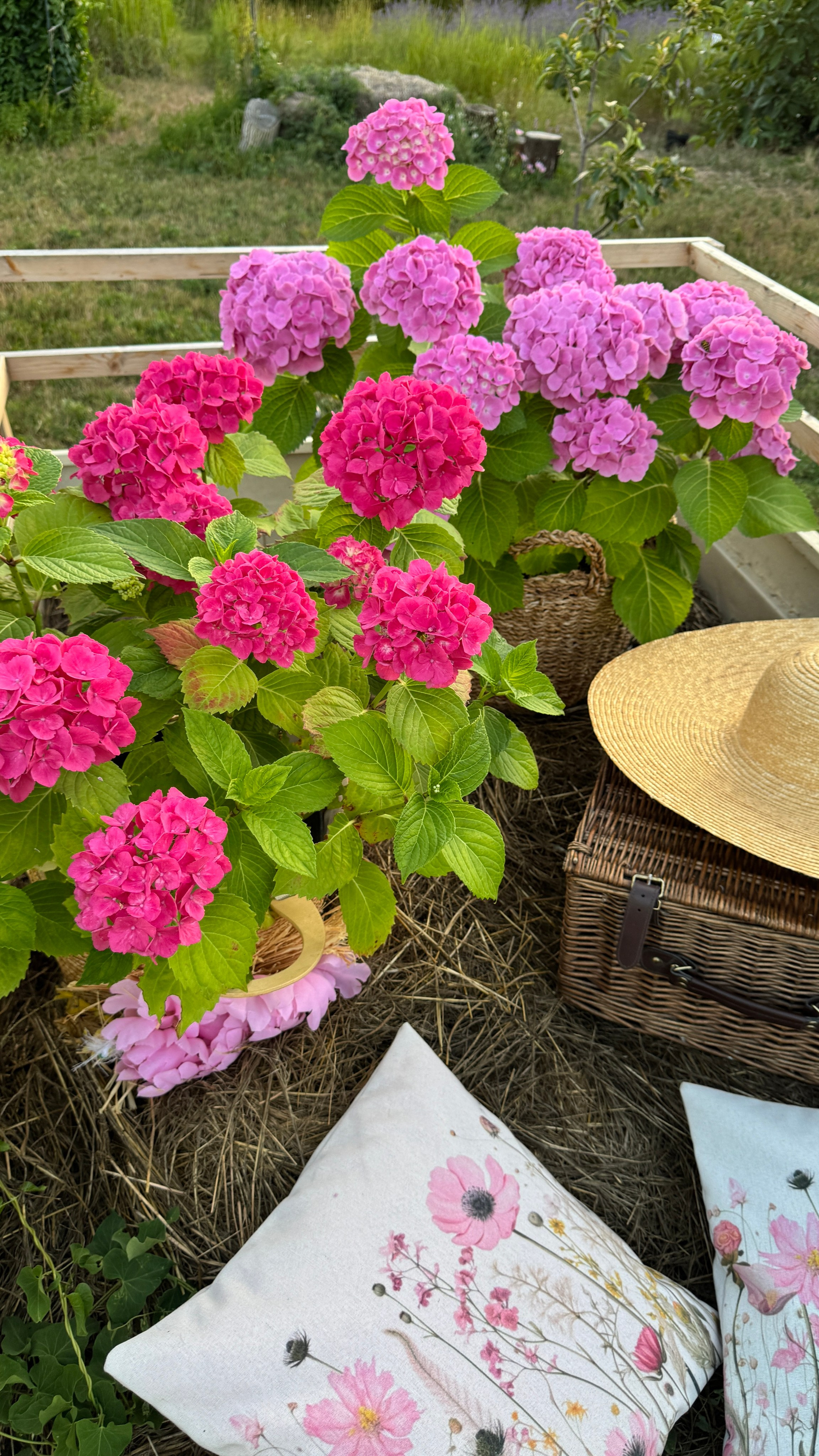 Локации с цветами. Фотостудия Натальи Забродской