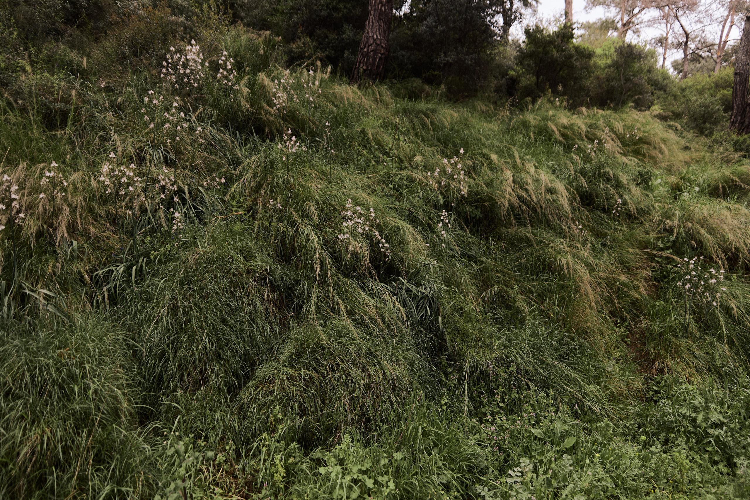 Улица горизонтальная. Jorgis — фотограф в Хургаде / обучение фотографии