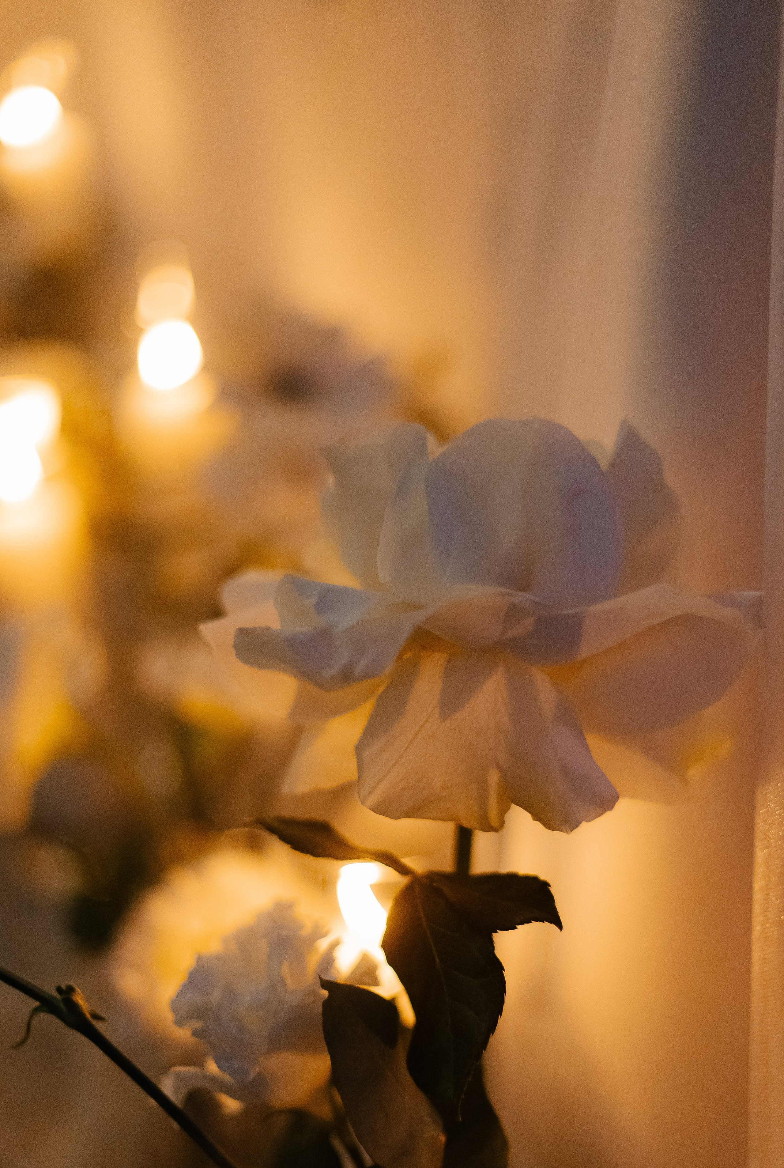 Николай&Валерия. Свадебный и семейный фотограф в Таганроге и Ростове Руднева Анастасия