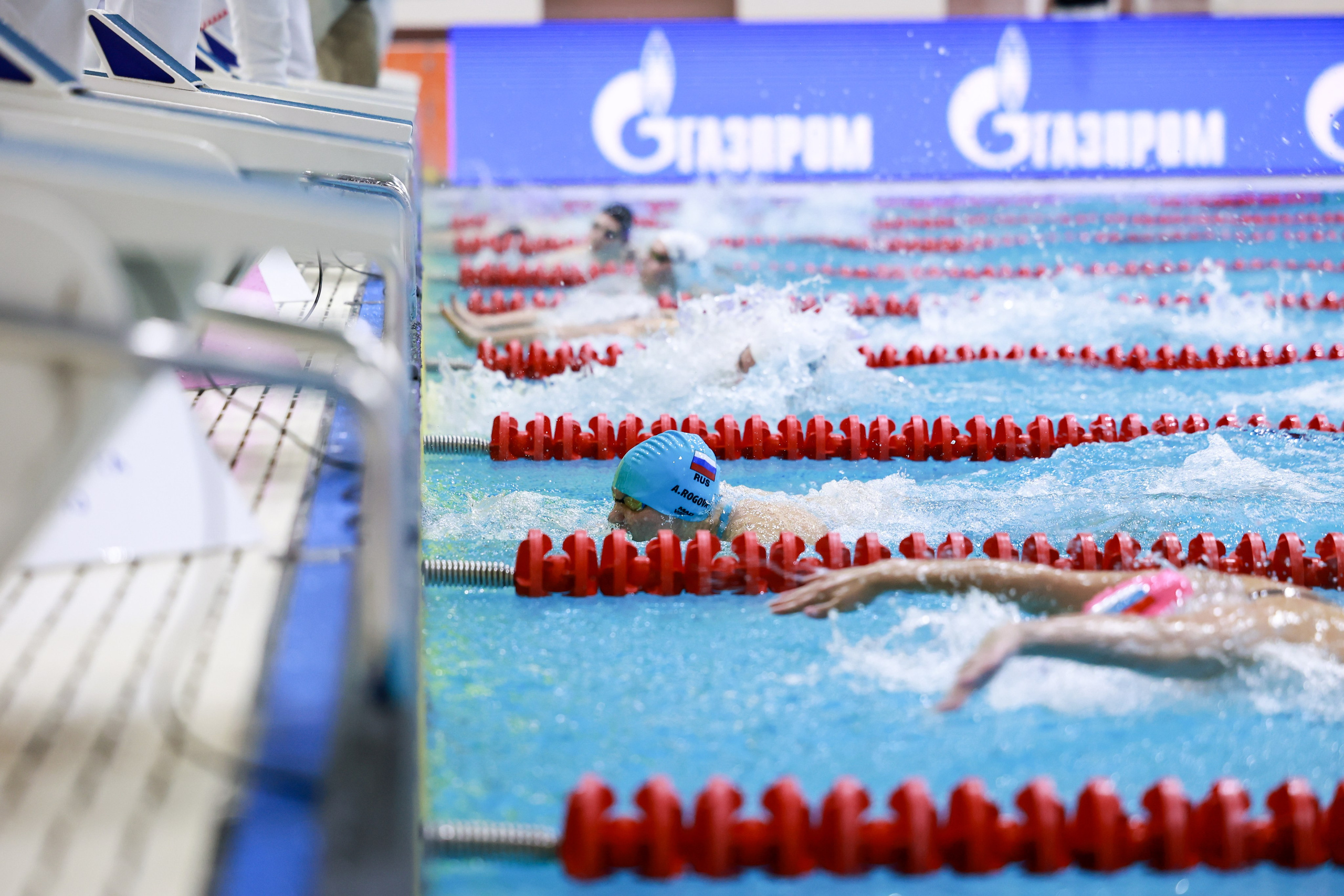 Чемпионат России по плаванию 25 м 21-26.11.2024. Спортивный и репортажный фотограф Антон Тереханов