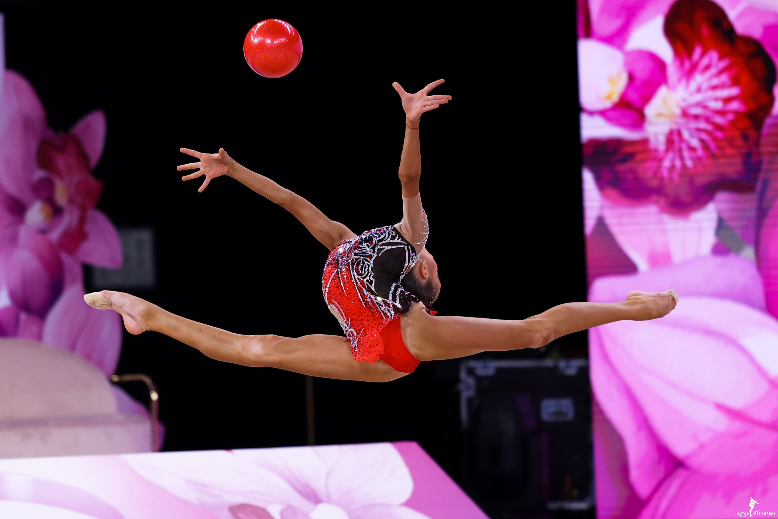 Альфа Банк Кубок Сильнейших 2025 финал 19.10.2025. Спортивный и репортажный фотограф Антон Тереханов