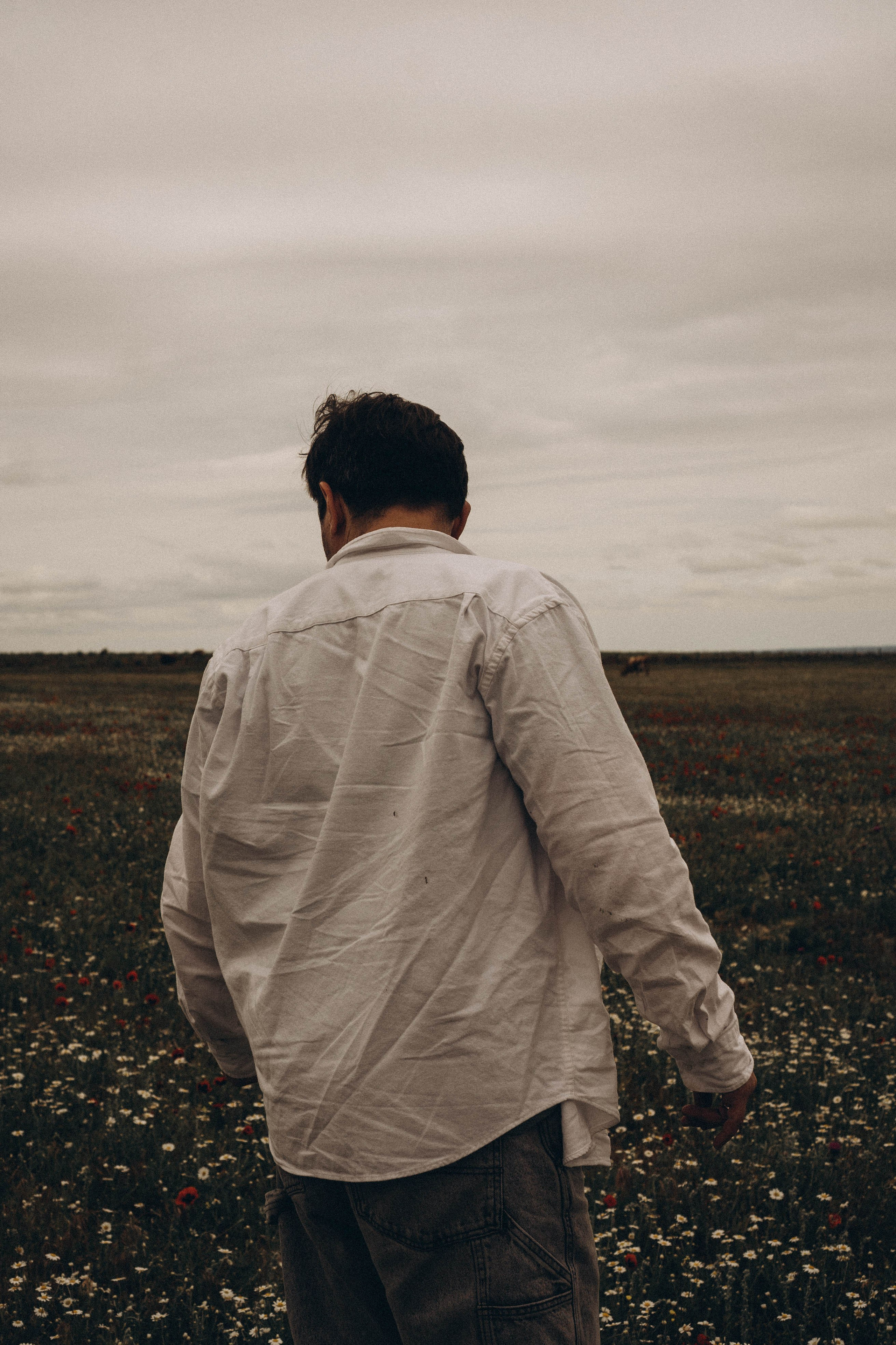 Маки. Профессиональный фотограф, Санкт-Петербург — Виктория Богомолова