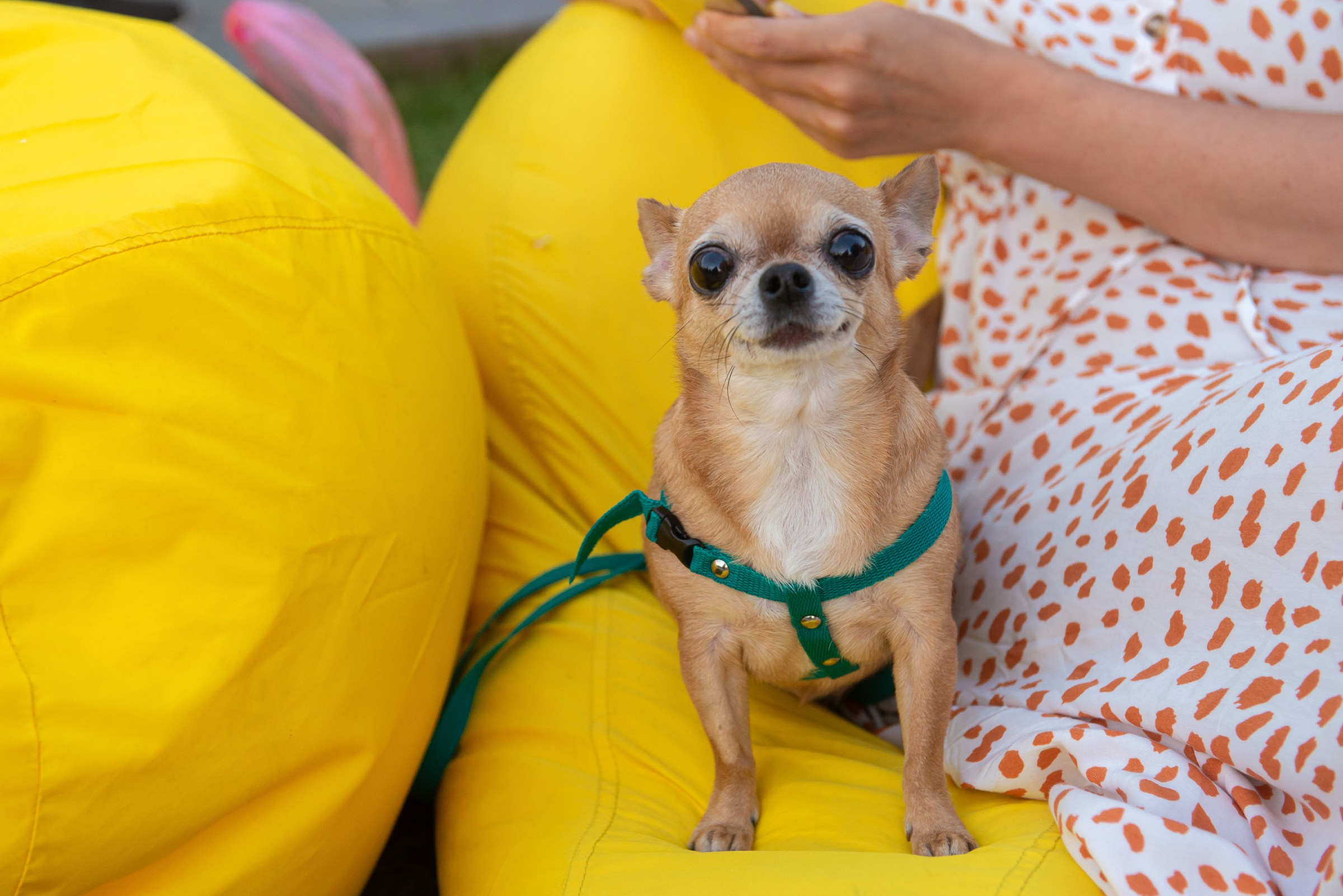 Репортажный фотограф в Екатеринбурге Ирина Смирнова. Профессиональный фотограф в Екатеринбурге Ирина Смирнова
