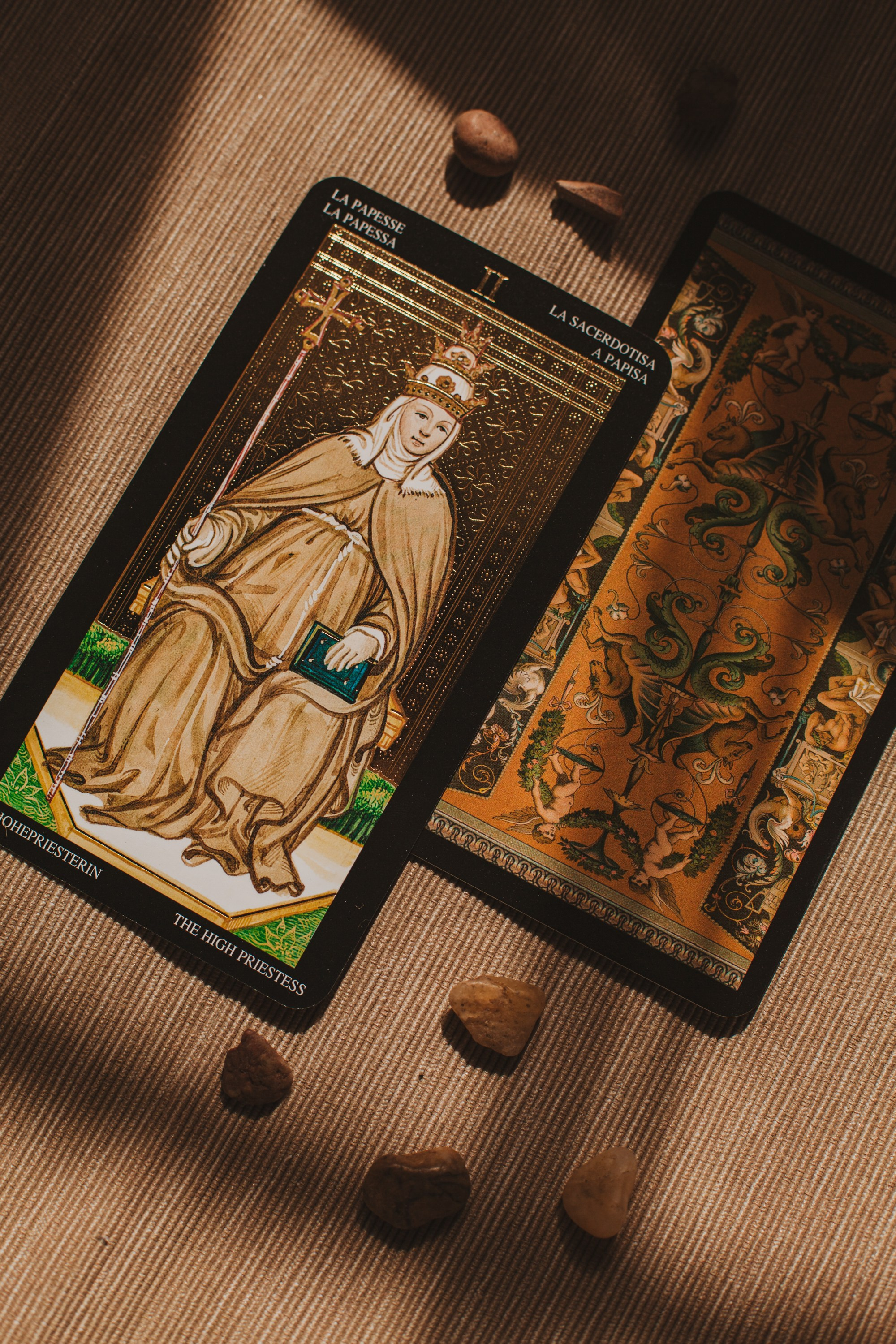 Таро. Виолетта Скрипка