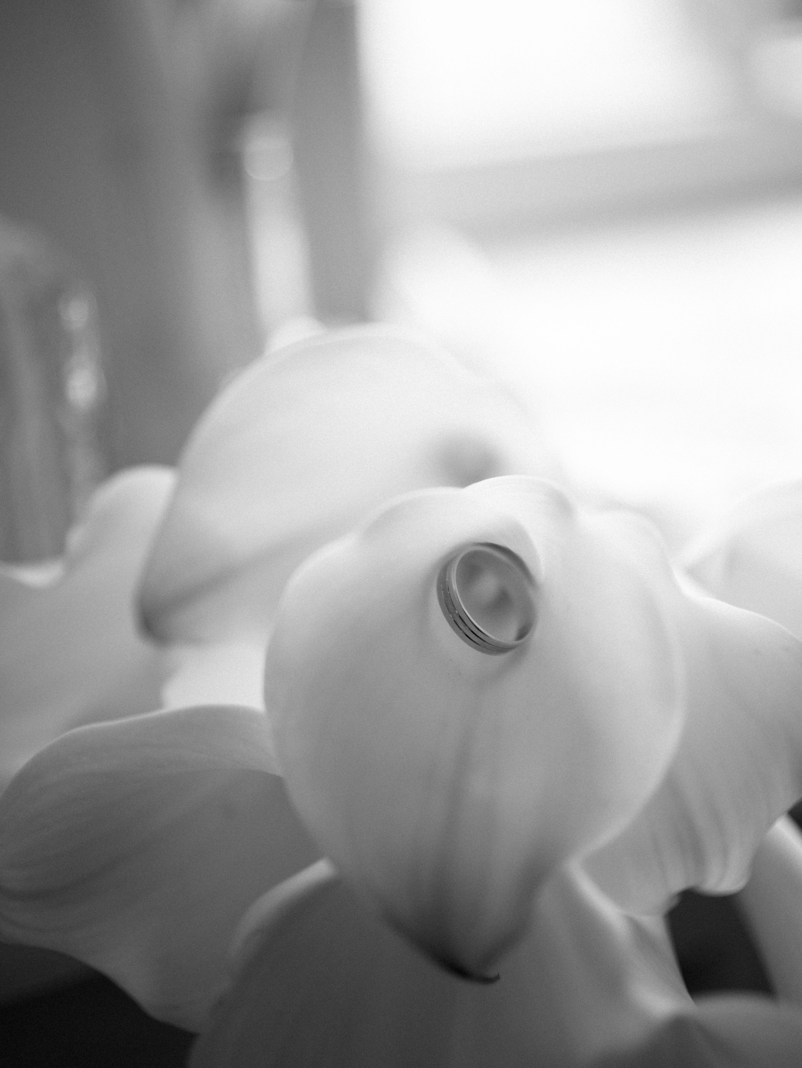 Люба и Артём 17.07.2025. Свадебный фотограф