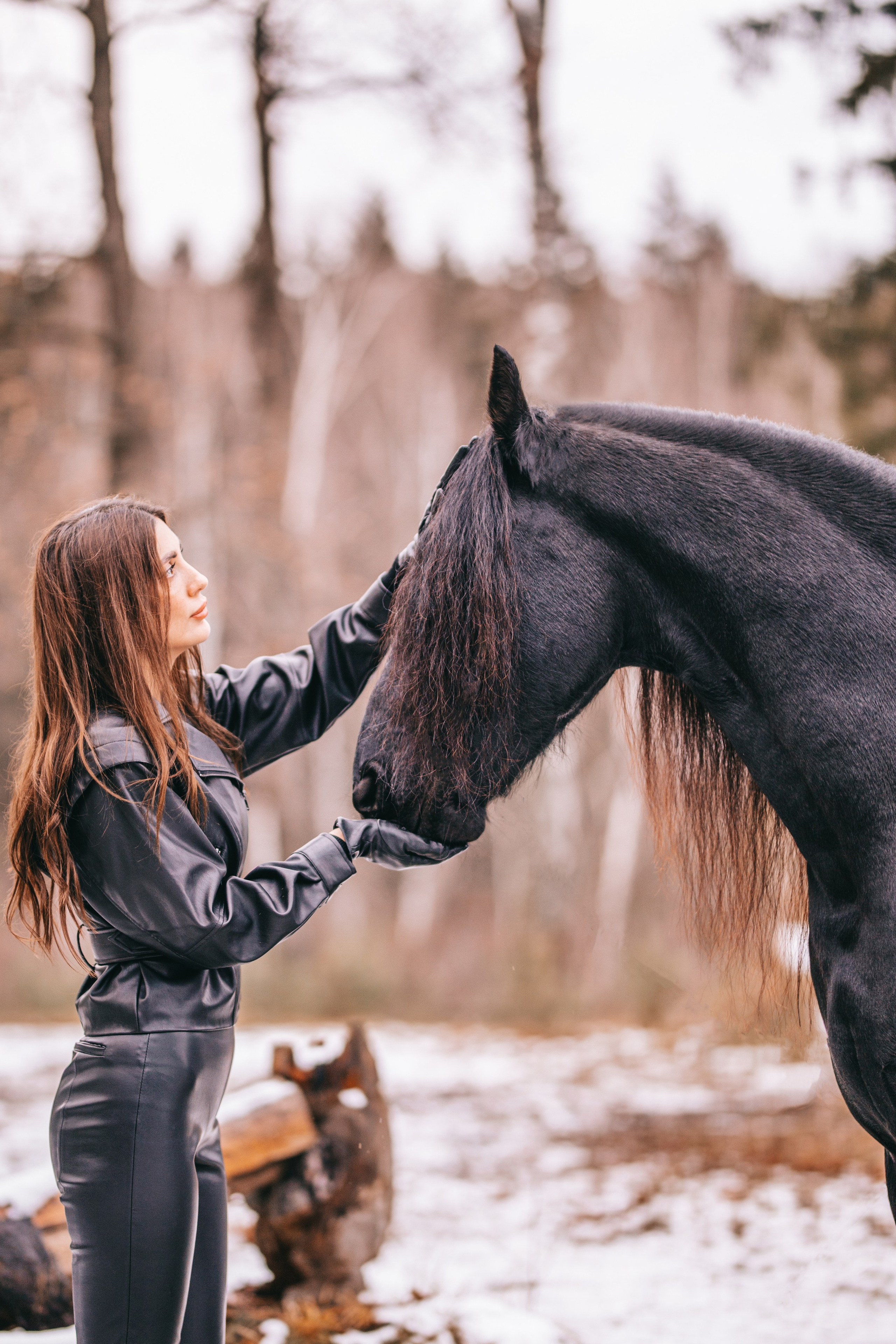 Фотосессии с лошадьми