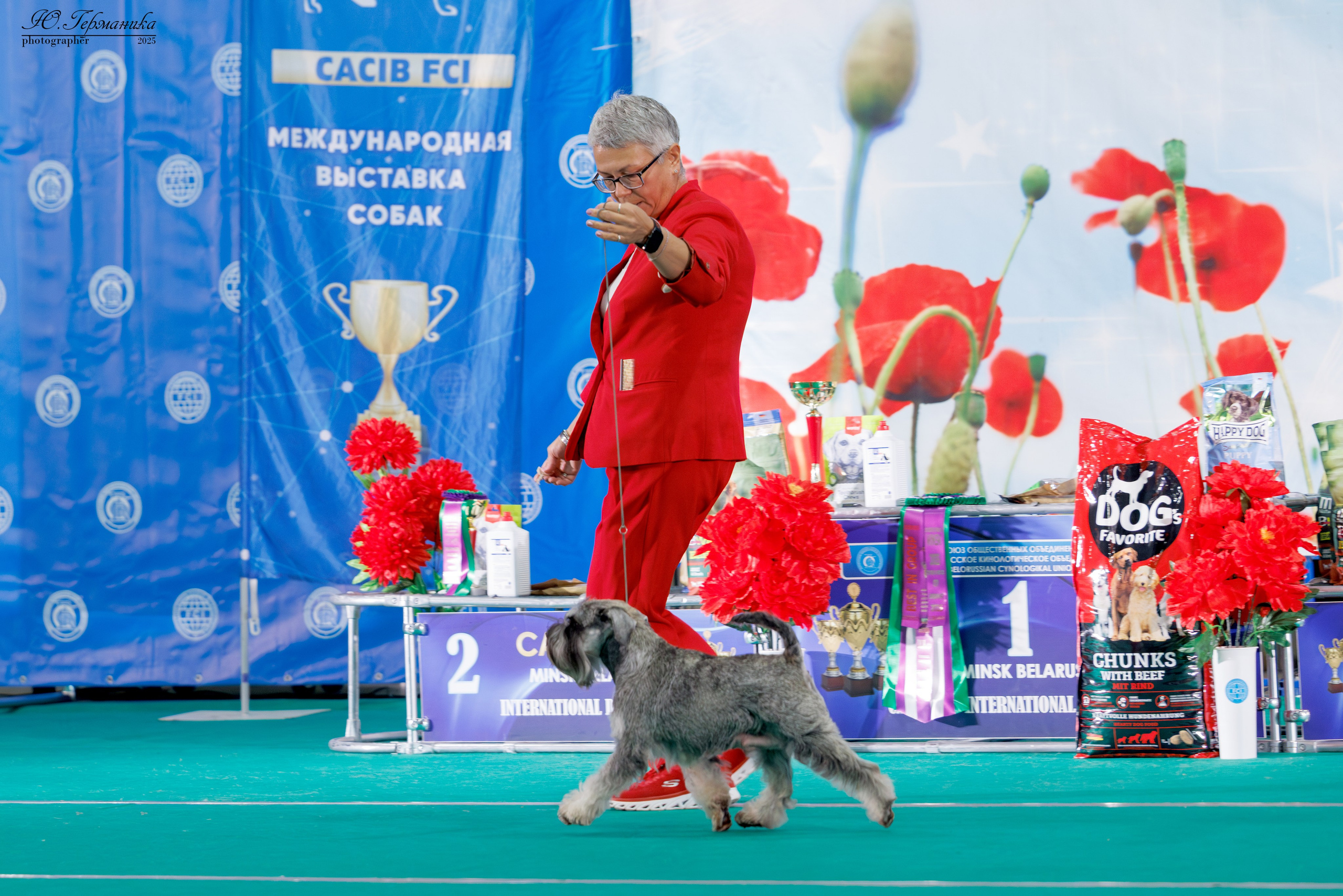 Минск 31.05-1.06.2025. Фотограф-анималист Юлия Германика