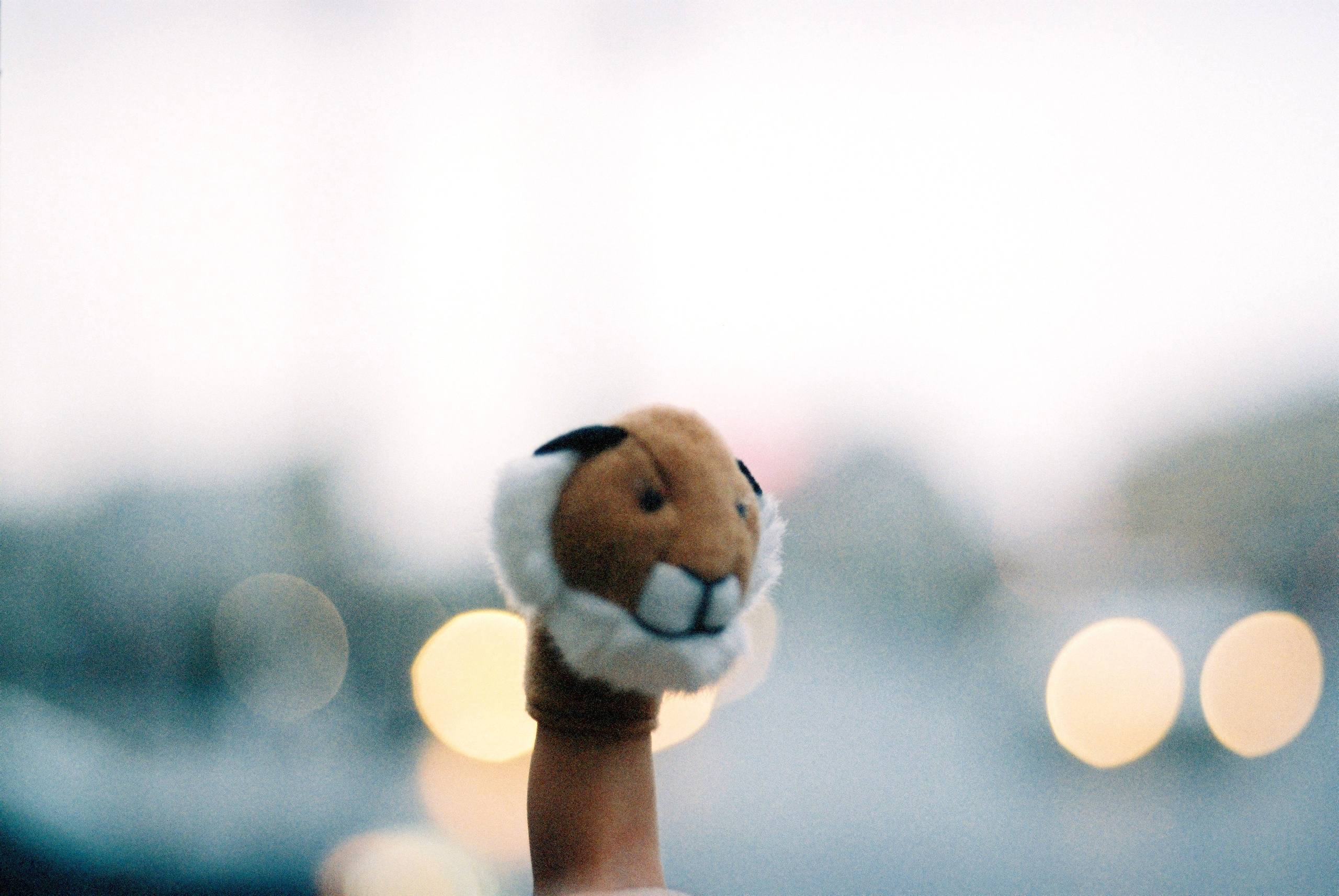 Film. Ruslan UI Dev Page