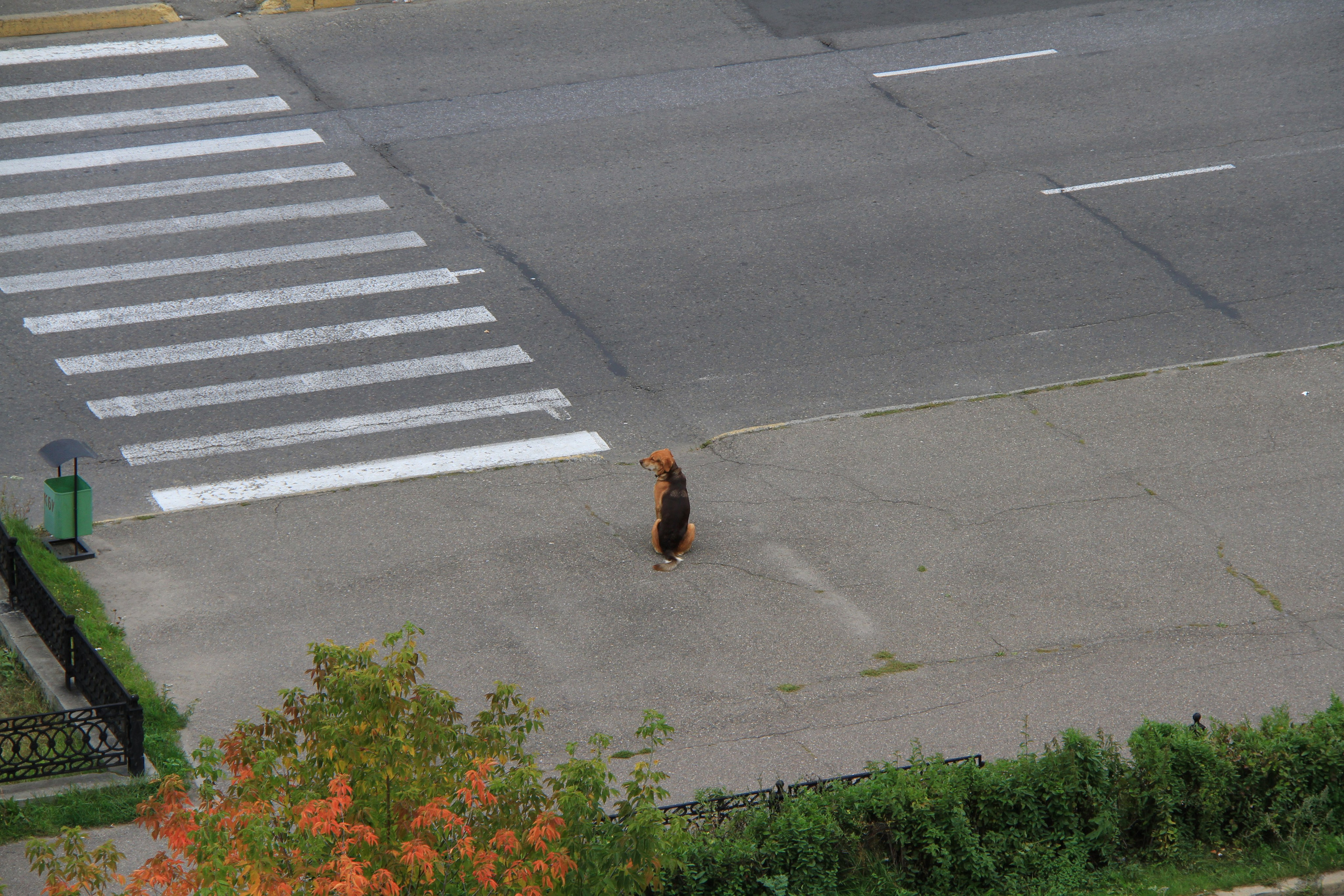 Разное из Разного времени. Ню Фотограф Александр Касымов Москва, фотосессии, Химки фотограф