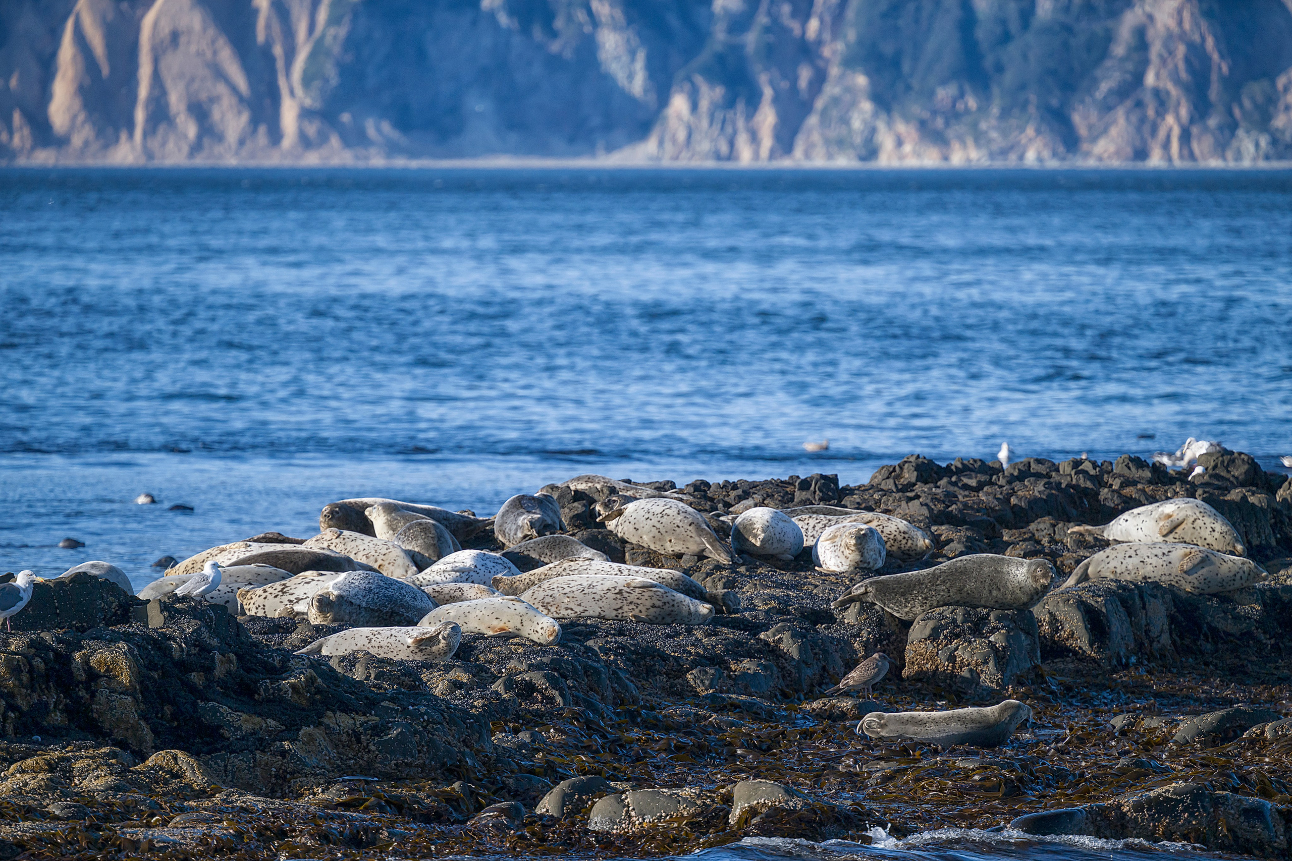 Камчатка. Портретный фотограф в Челябинске Катерина Руди