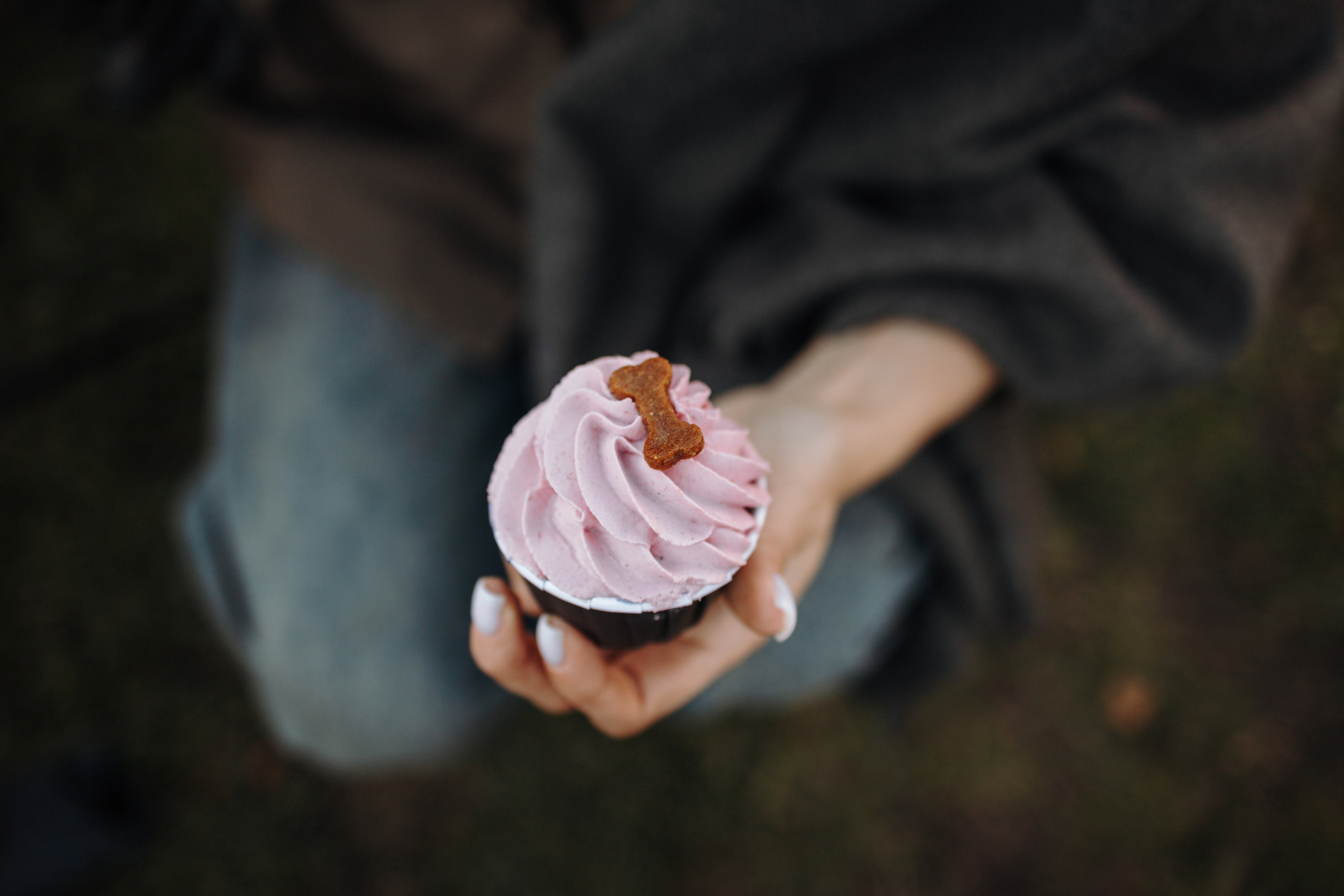 Даша и ее девочки. Фотограф — Анималист | Санкт-Петербург