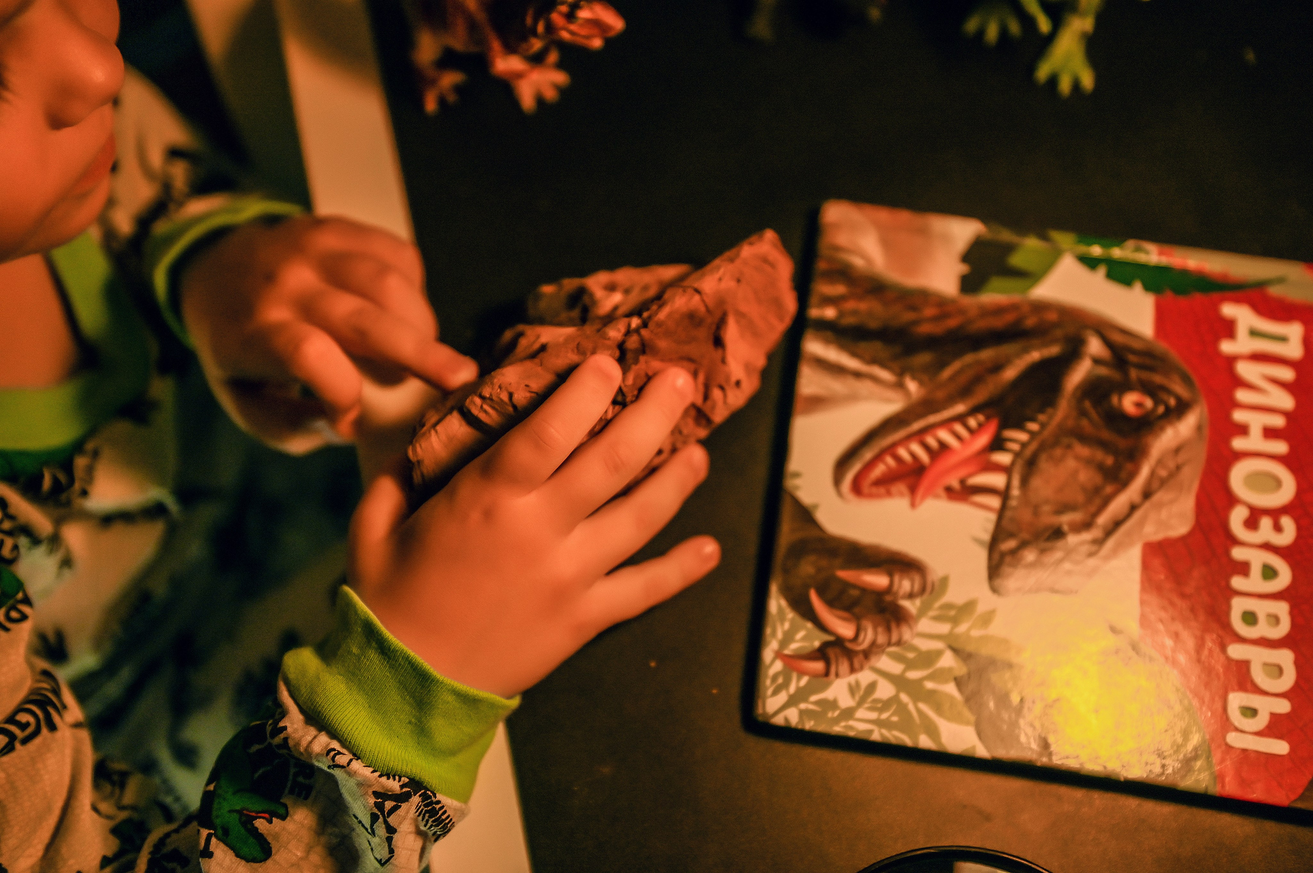 Детская домашняя кабинет натуралиста. Свадебный, семейный, детский, контент фотограф в Омске Максим Ильин