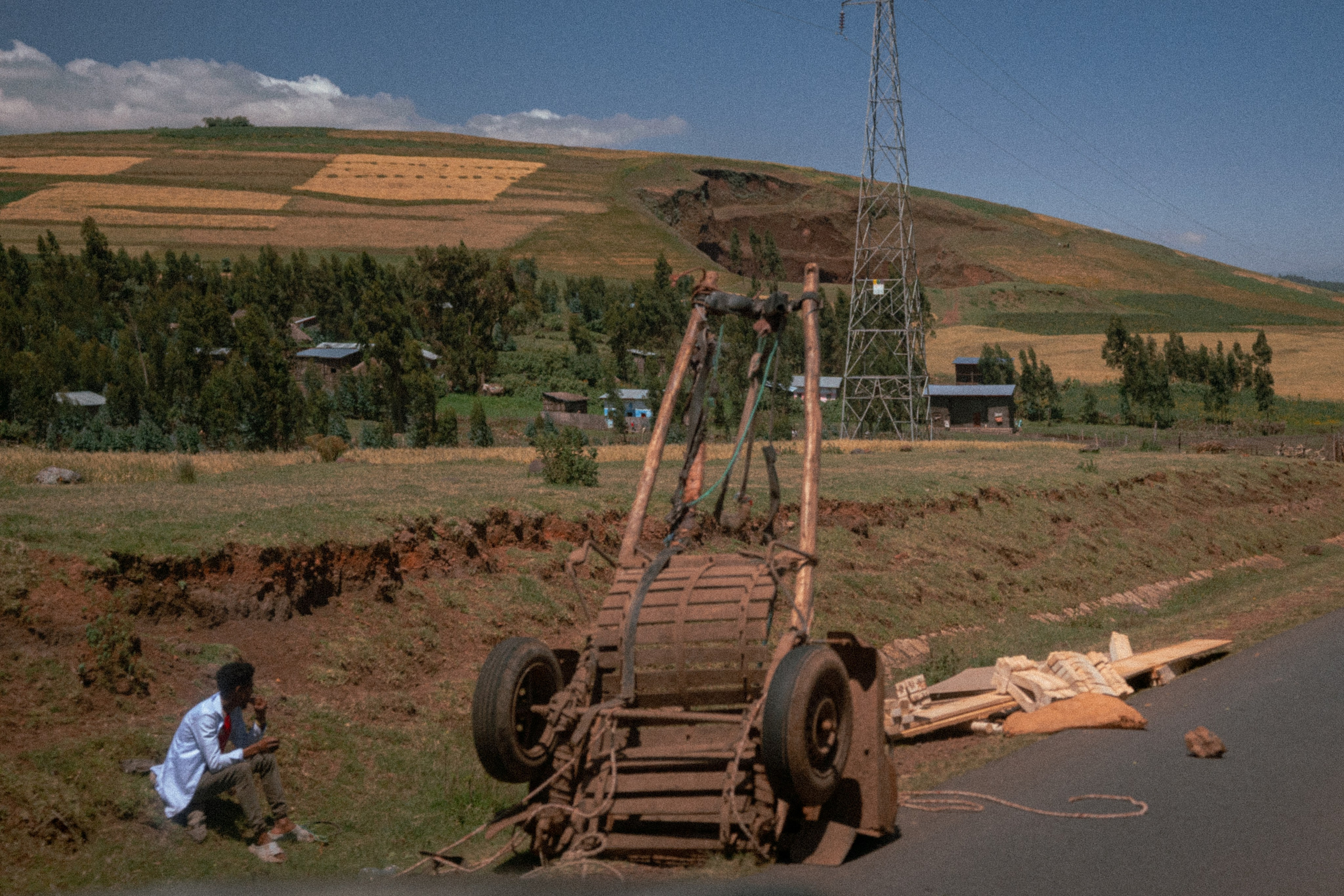 Роль сельского хозяйства в эфиопии