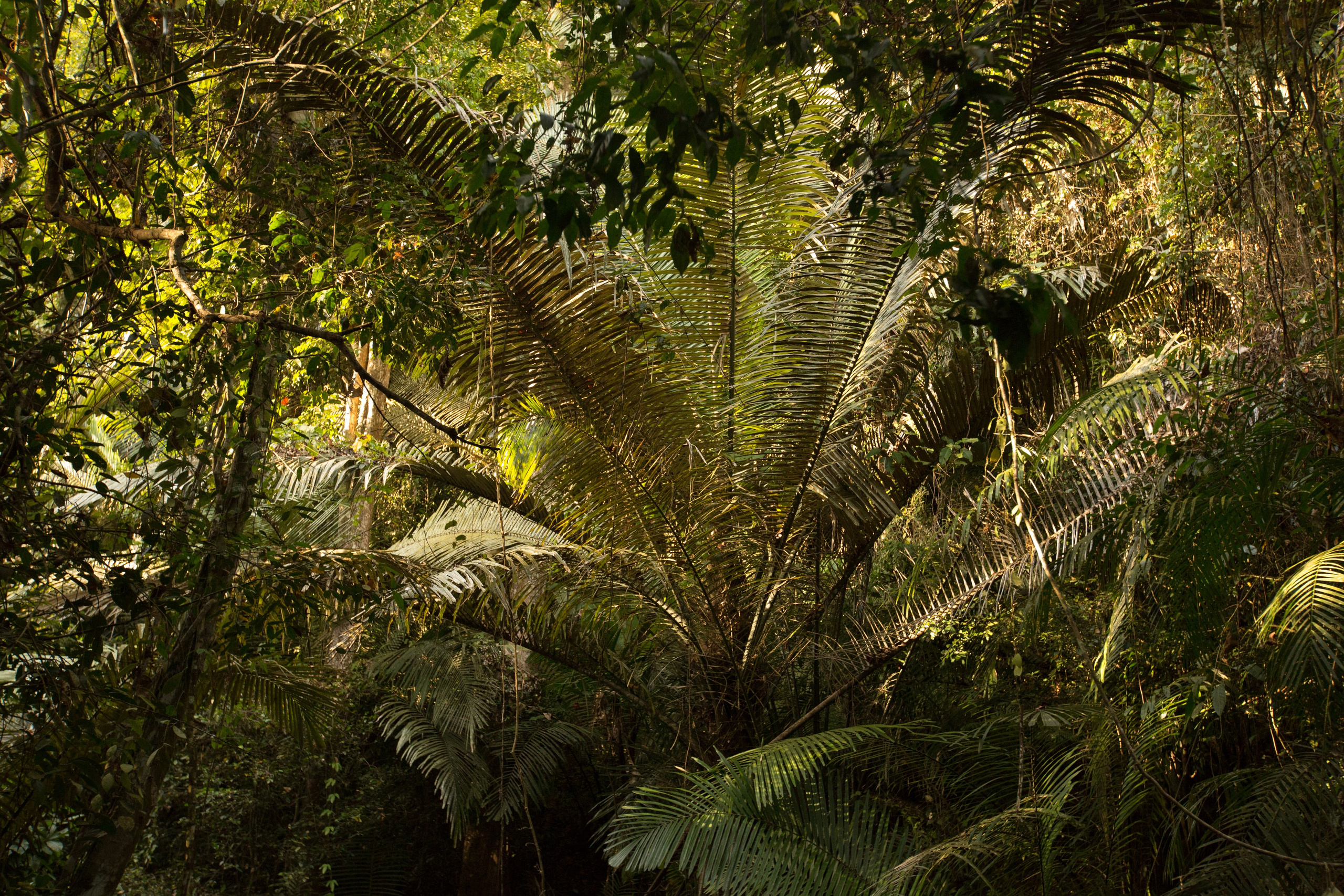 Фото Тайланда. Студия Максима Белослюдцева