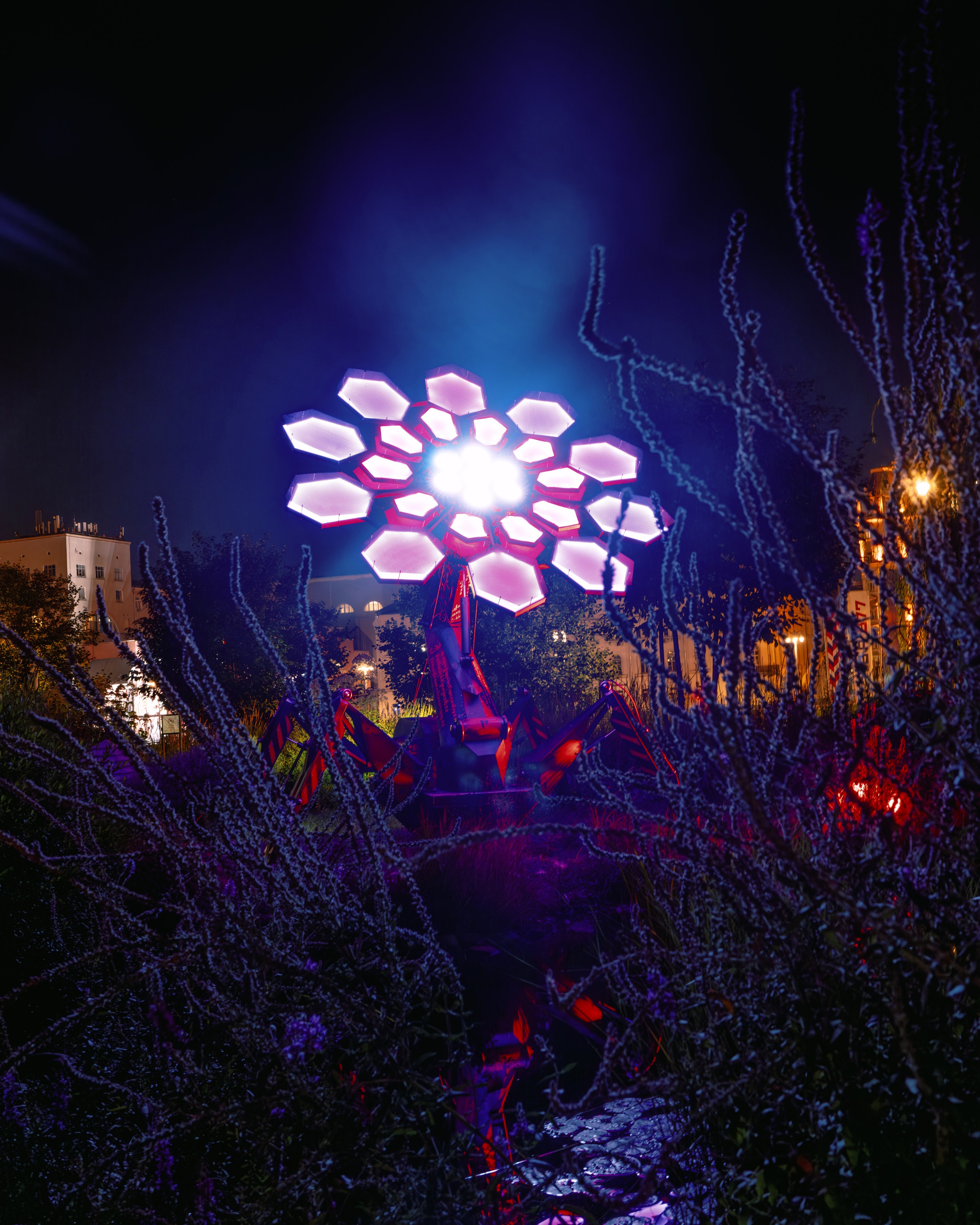 PANTERRA, Cyber Flower. @tomrus: Рустам Шагиморданов — фотограф