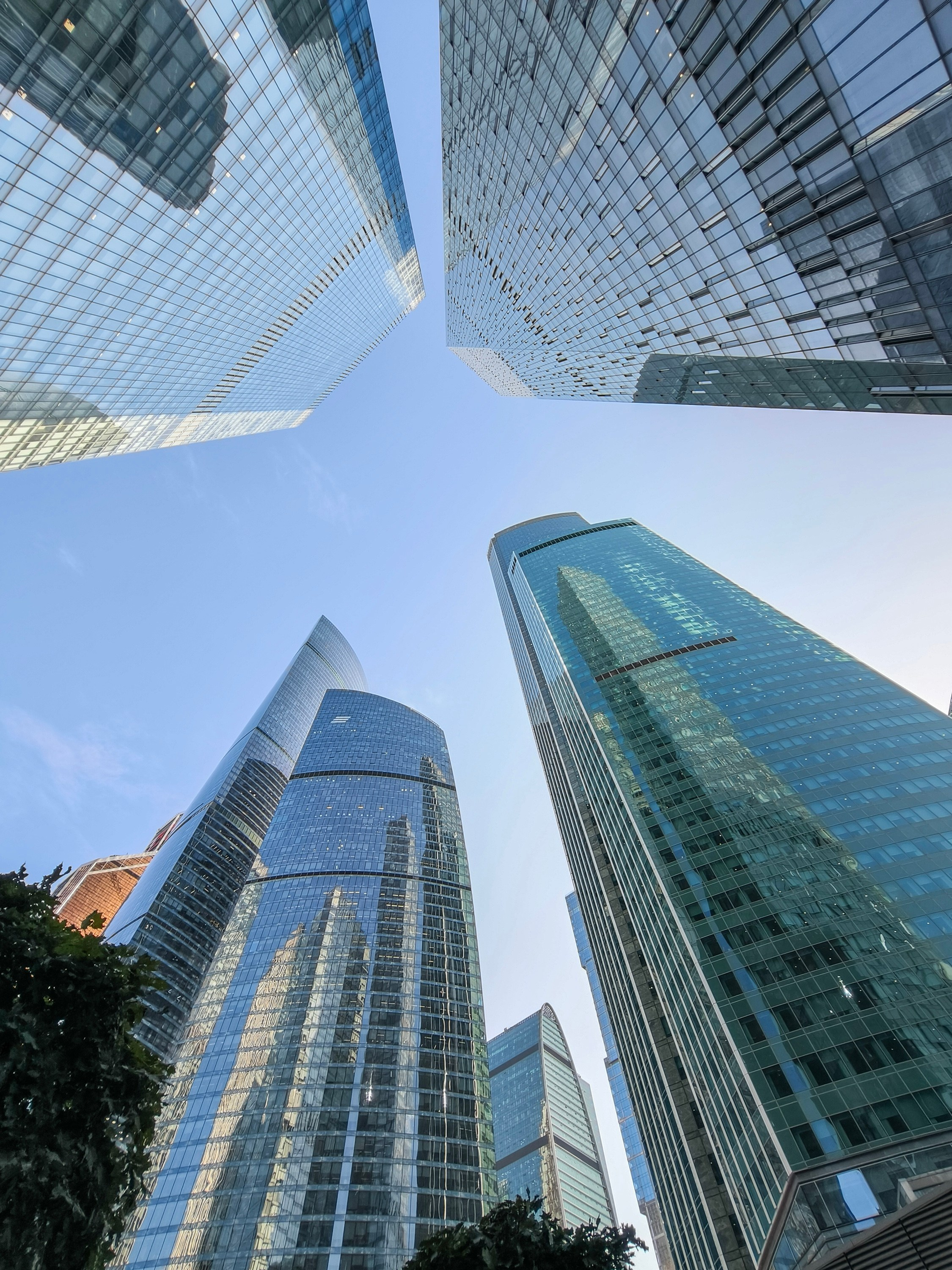 Роспись в ресторане Birds. Свадебный и семейный фотограф в Москве Светлана Зоткина