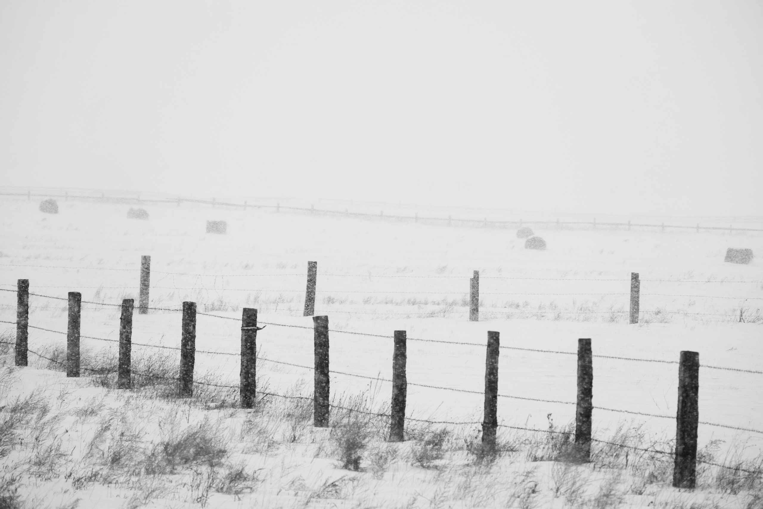 Silence. Irina Borodina