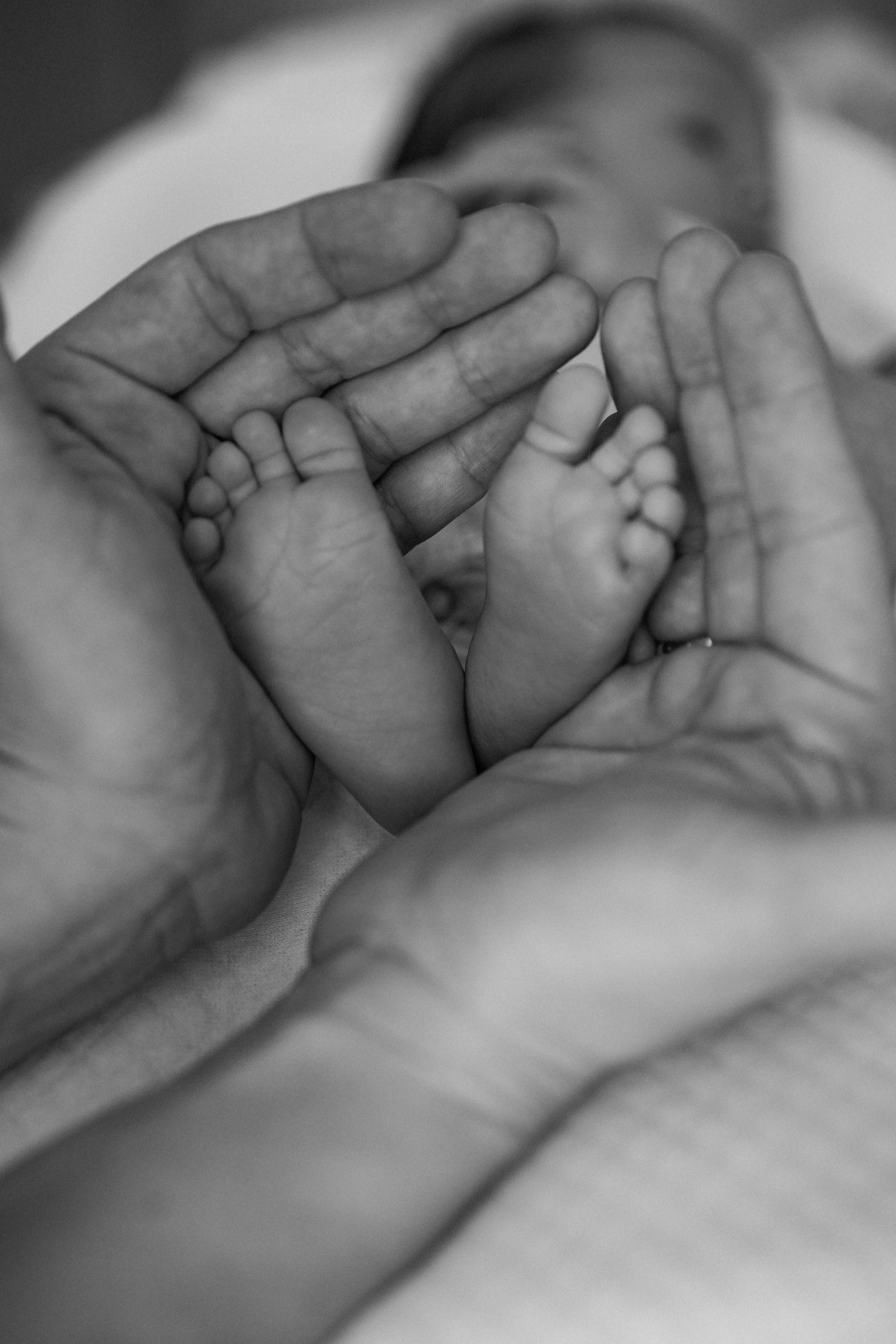 Владимир, Екатерина, Давид и Адам. Портретный фотограф Алёна Счетчикова