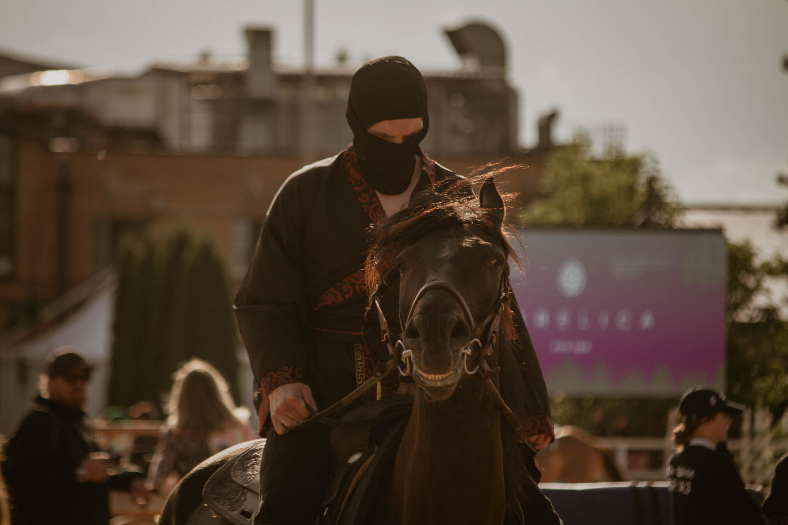 ИППОСФЕРА — Международная конная выставка. Создадим шедевр? Виталина и её фотоискусство
