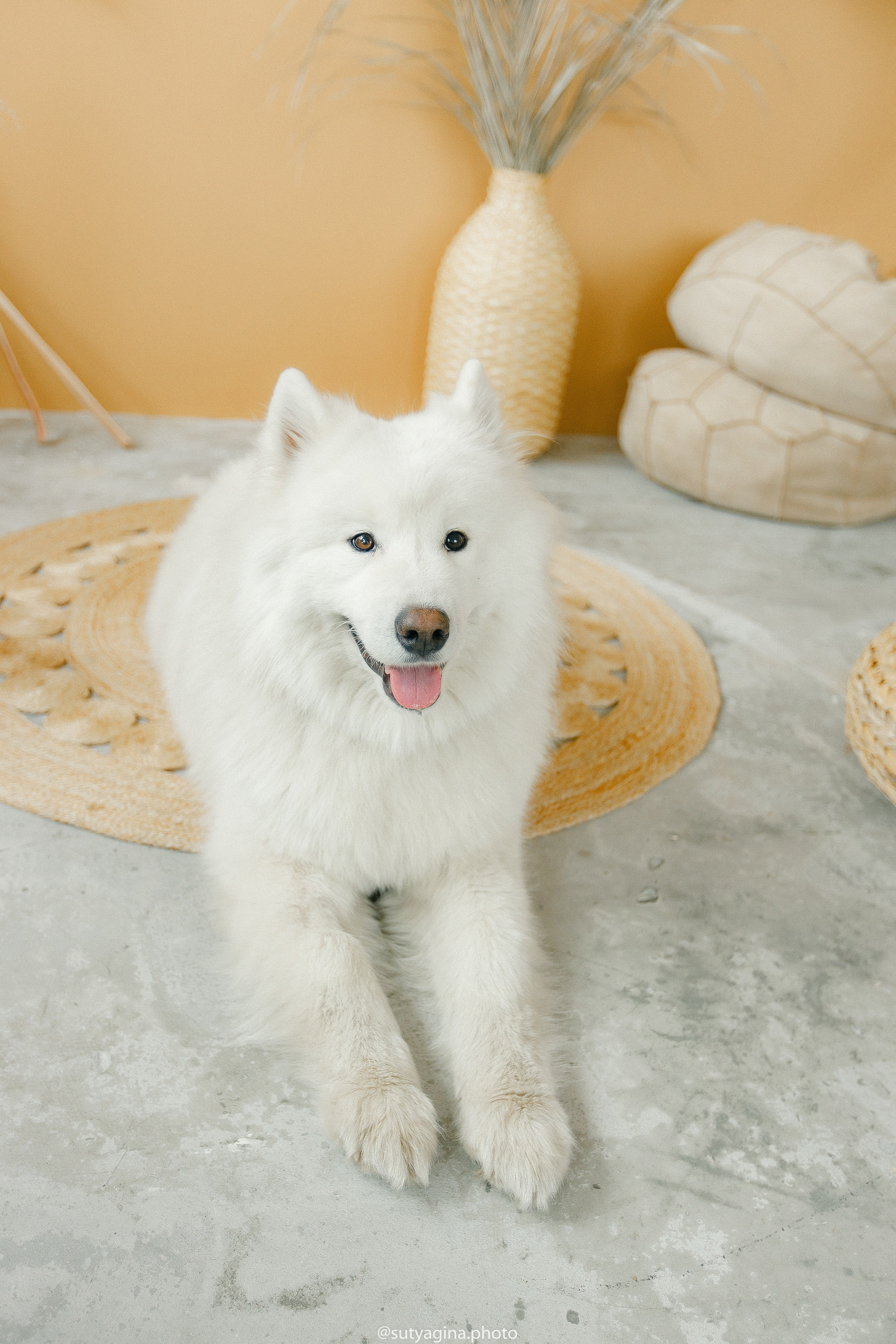 Самоед Мартин. Свадебный и женский фотограф