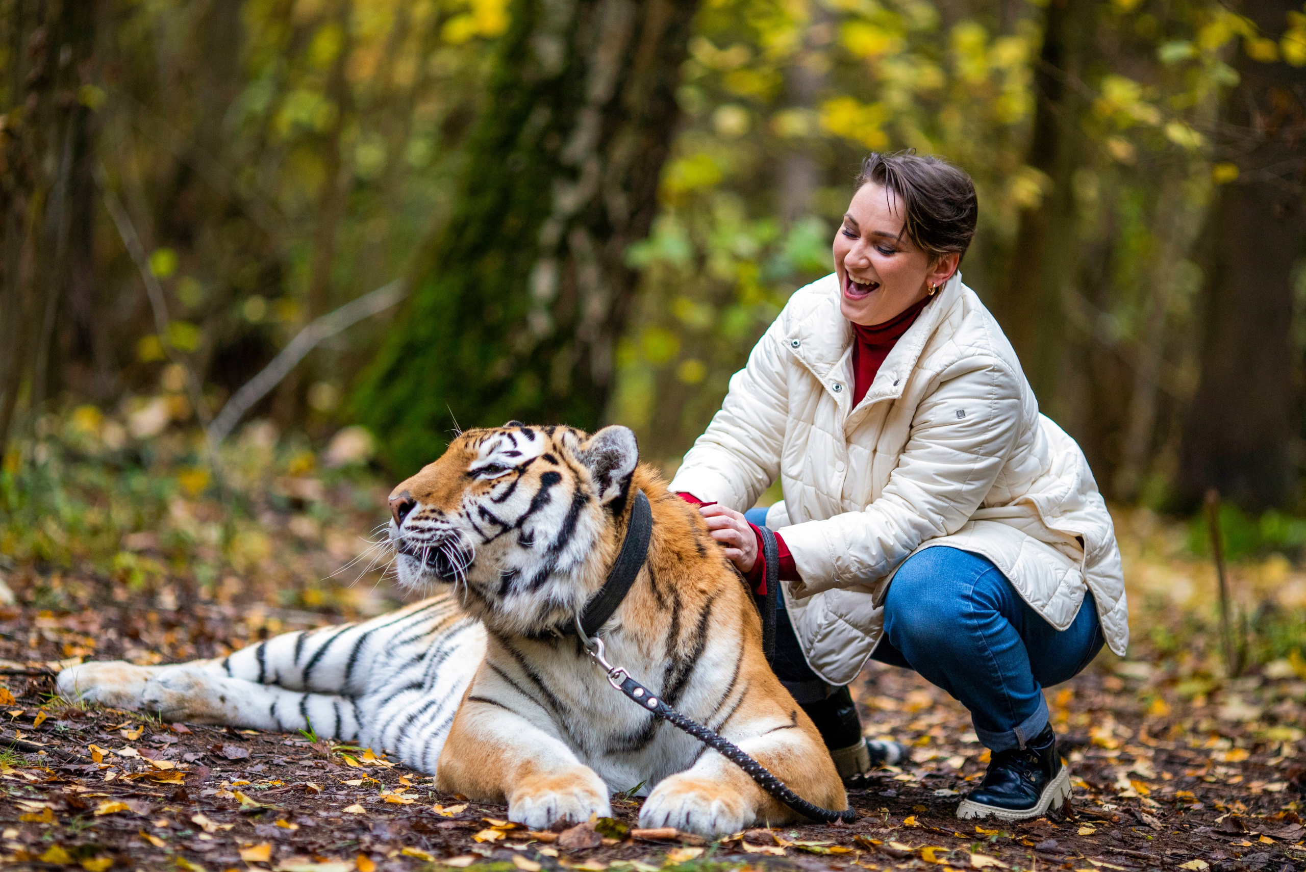 С тигром. Фотограф в Москве и в Московской области Сандра