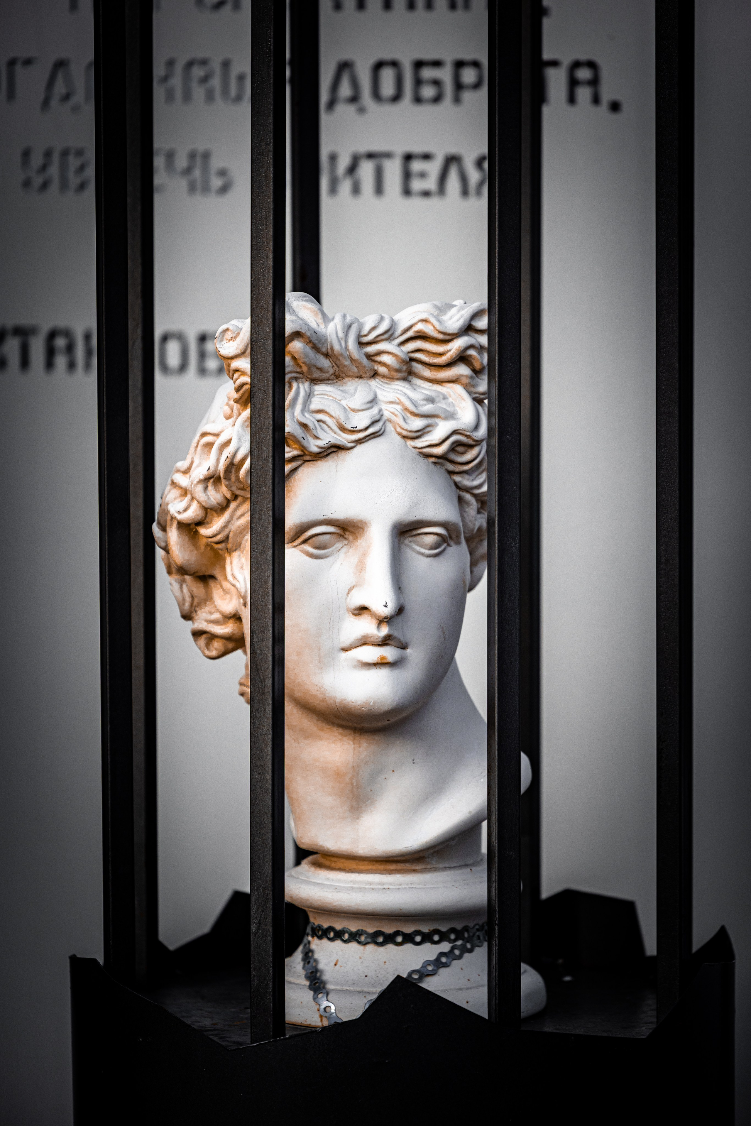 Фотографирую жизнь! Московский фотограф волонтер