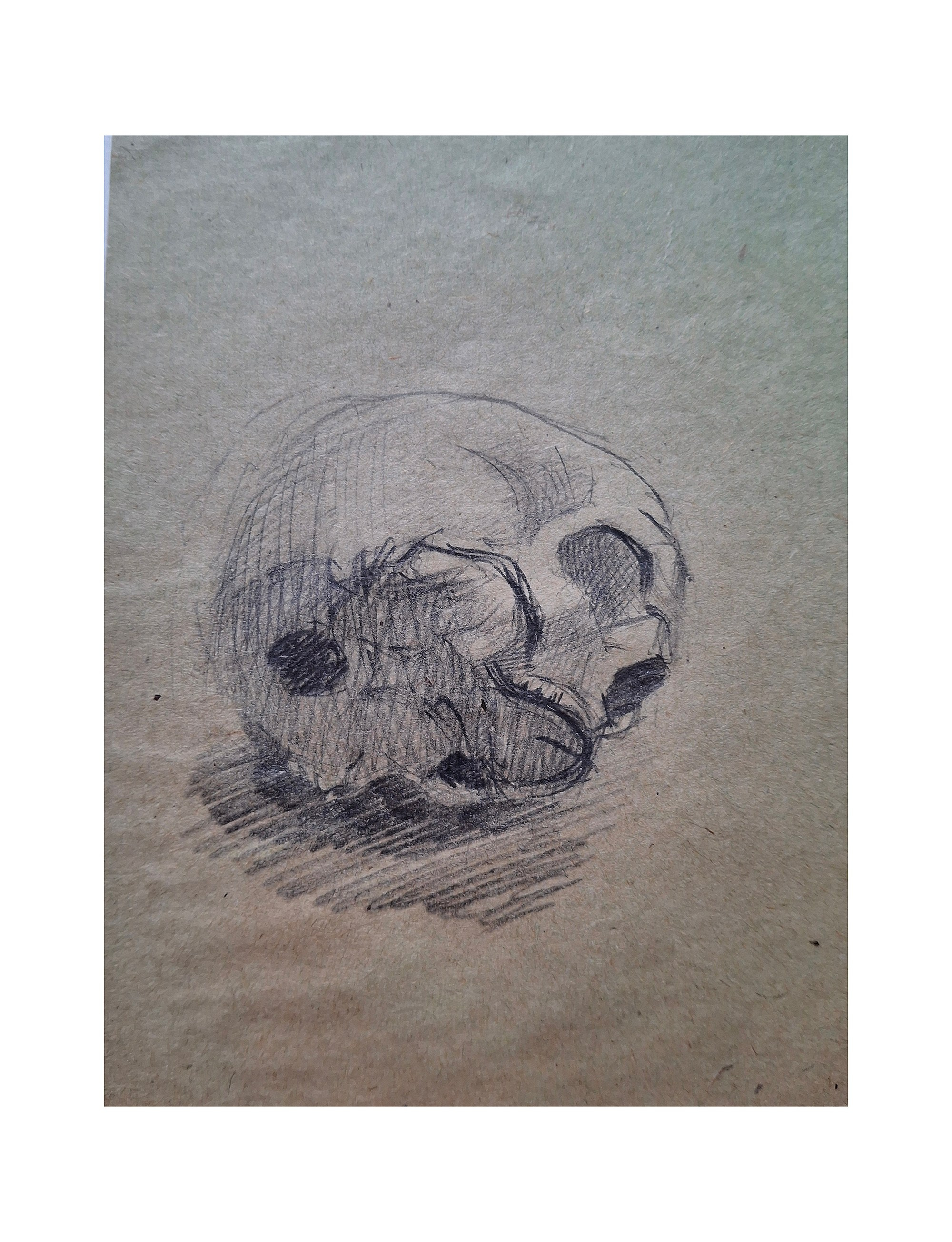 Arts & sketches. Max Matvich and Victoria Basova are professionals in their field