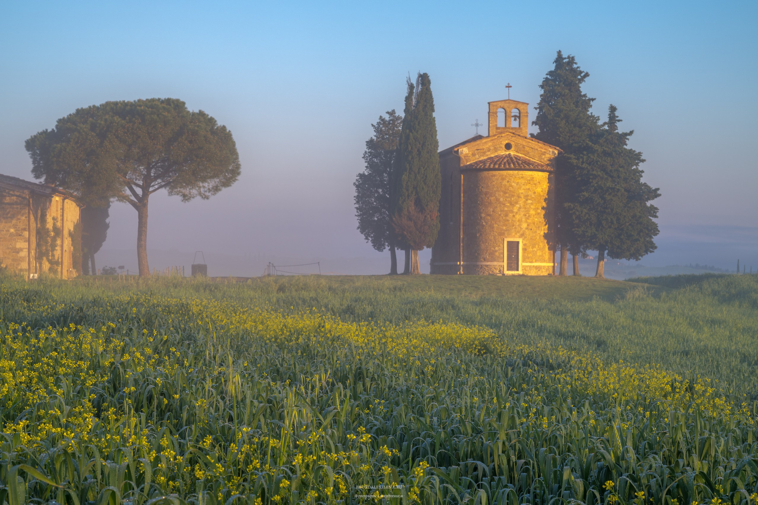 Волшебное утро в Тоскане. Авторские стильные фотокартины
