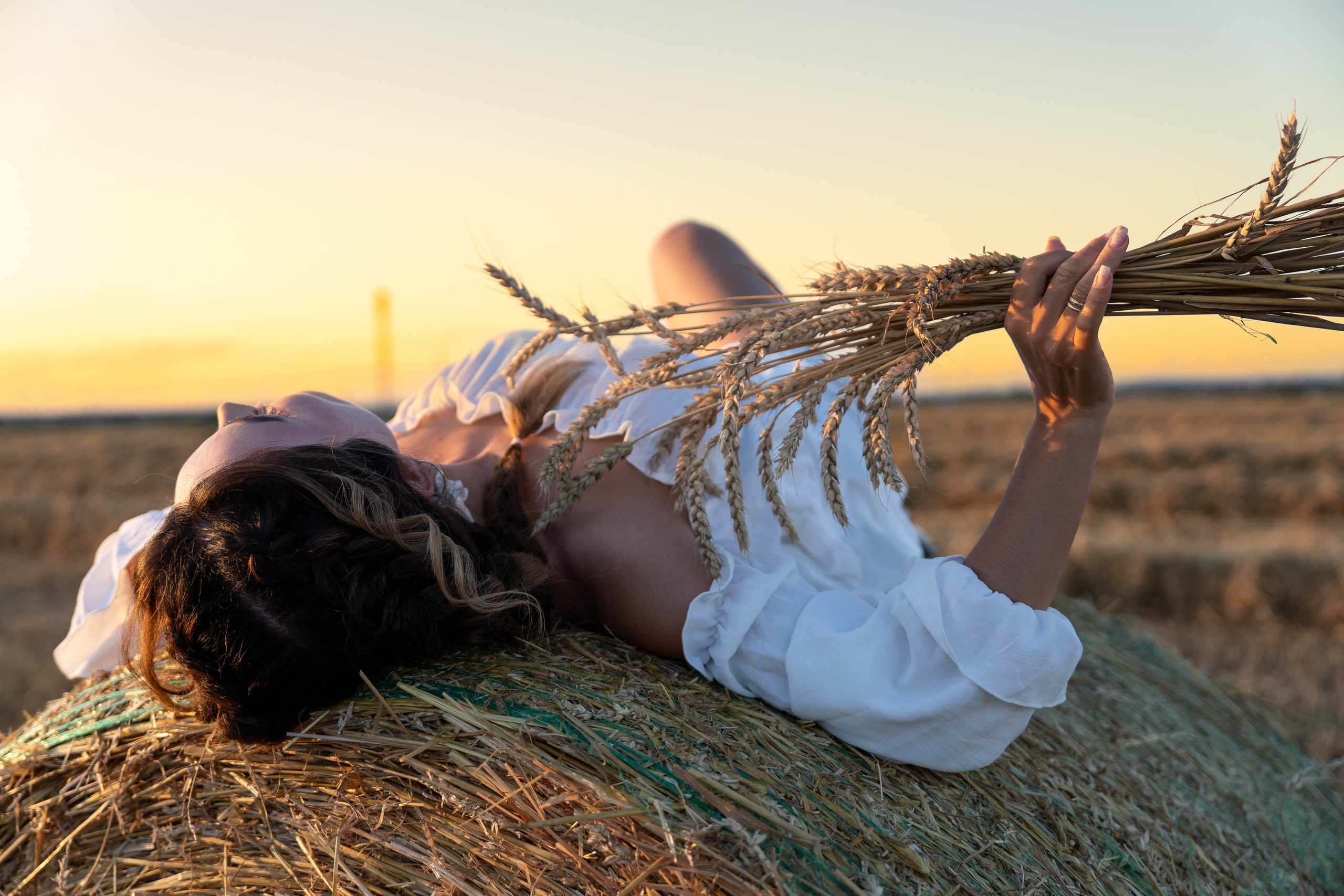 Пшеничные поля. Главная